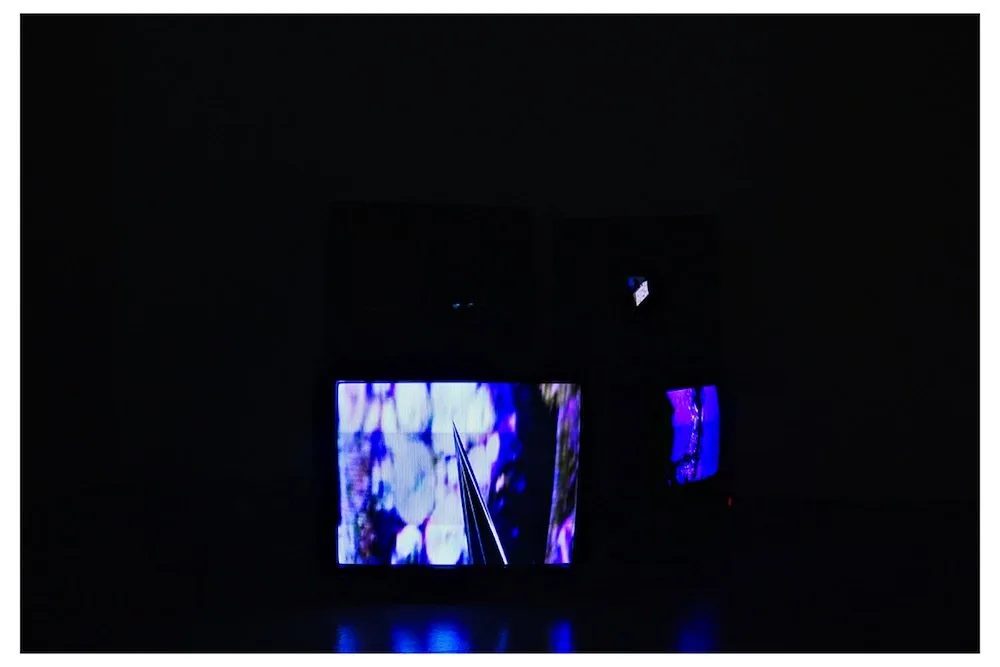 Darren Banks, The Black TV's, 2012