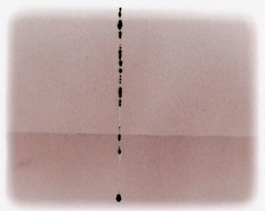 Darren Banks, The Unboard, 2005