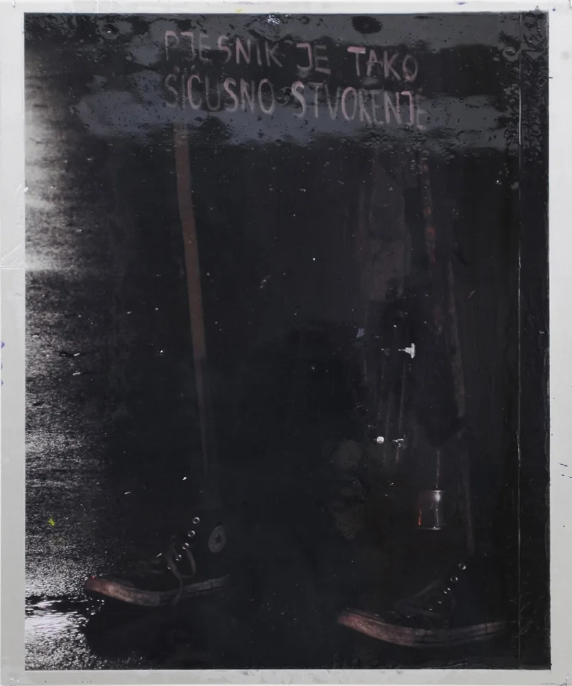 Hugo Canoilas, A poet is a minuscule thing, 2014