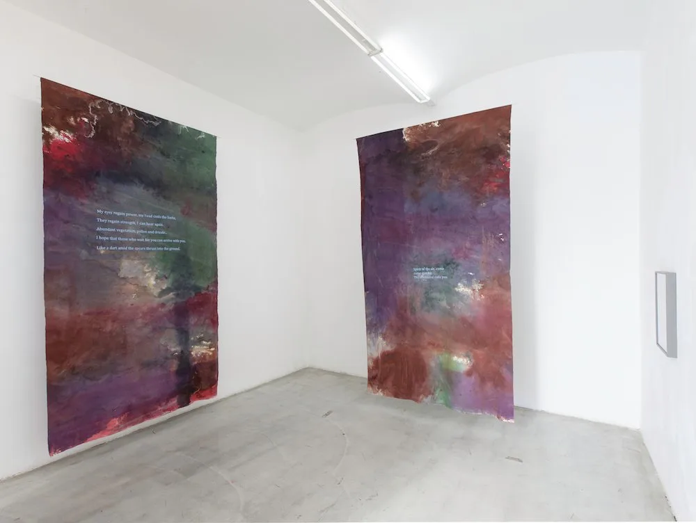 Hugo Canoilas, Spirit of the air, 2013