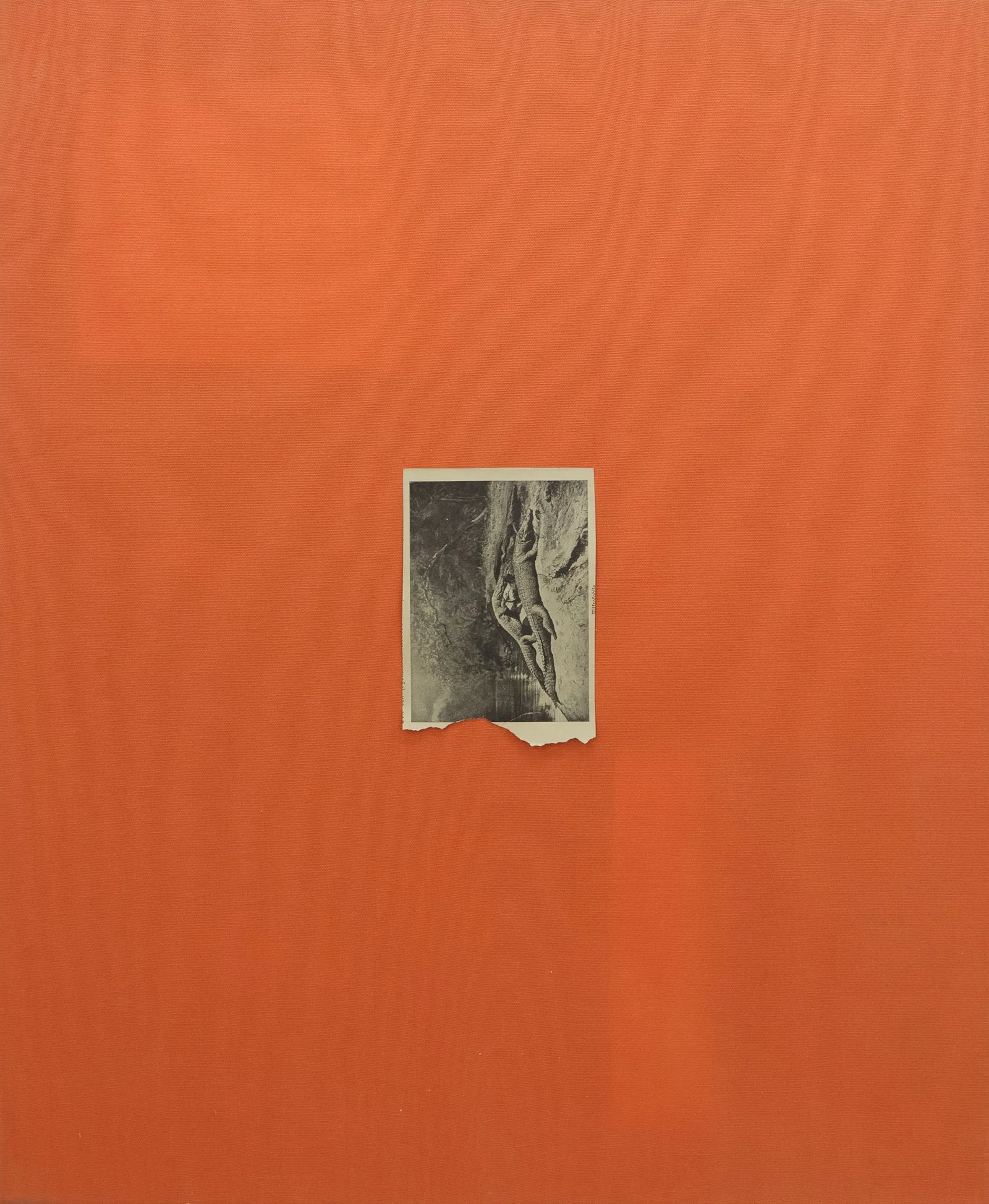 Hugo Canoilas, The sterile everyday of horrid fixity., 2013
