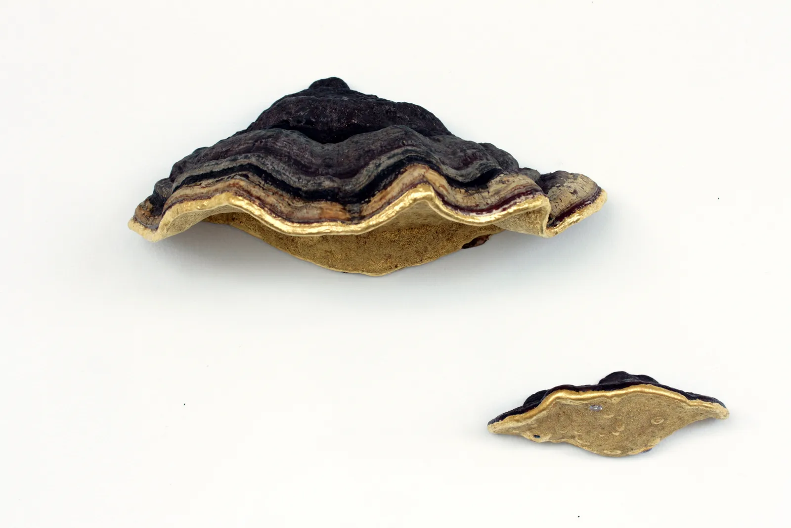 Jo Coupe, Femmerist, 2019