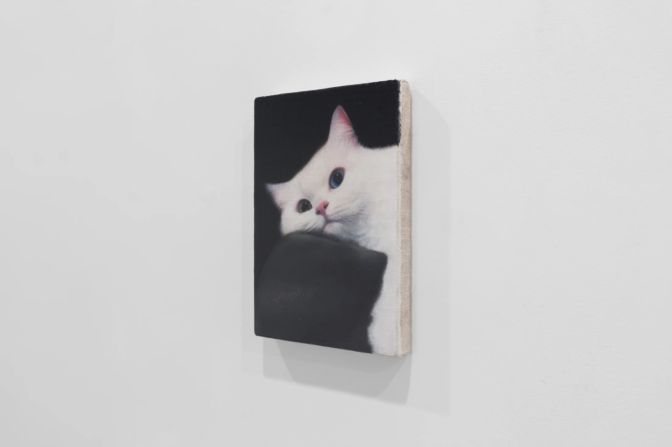 Detail of Cat on a leather chair by Joseph Jones