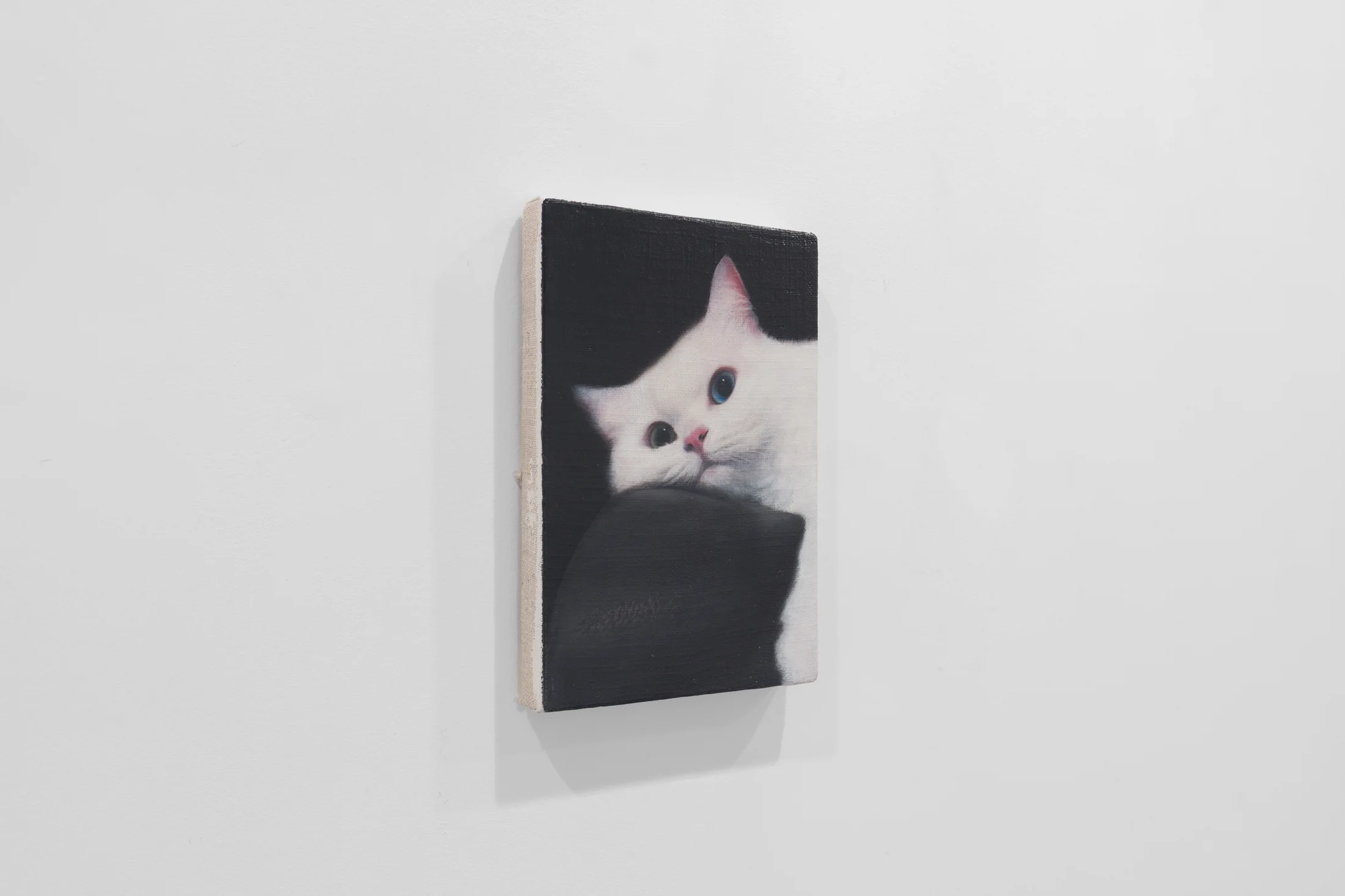 Detail of Cat on a leather chair by Joseph Jones