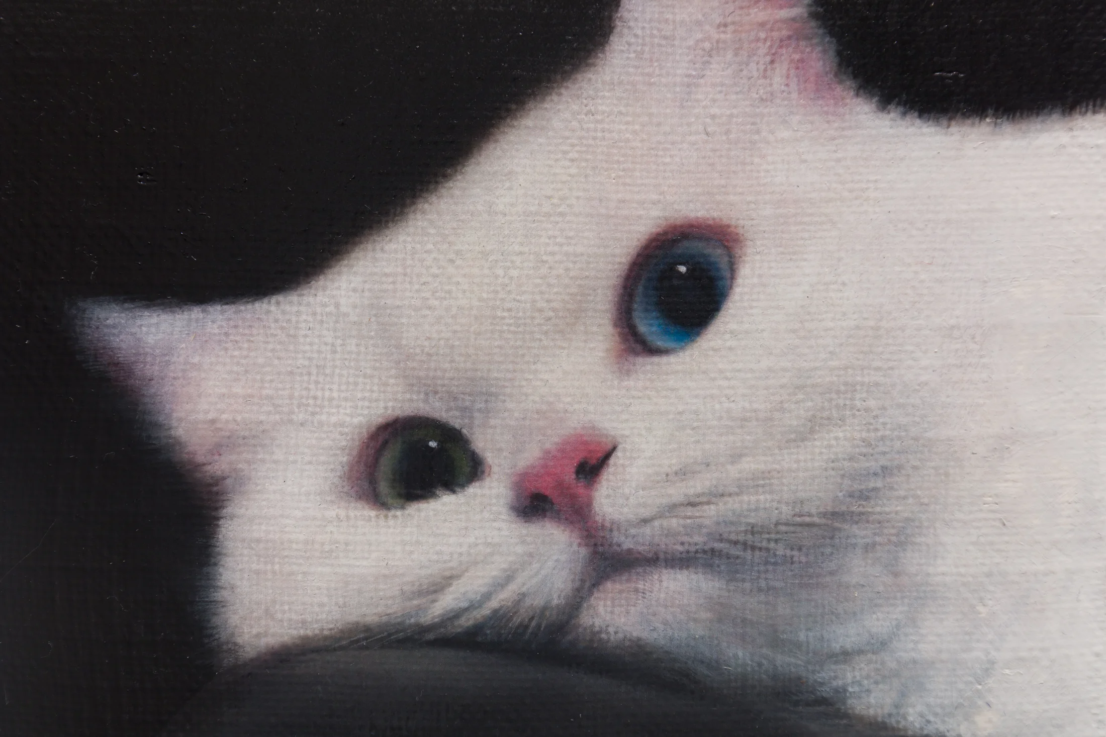 Detail of Cat on a leather chair by Joseph Jones