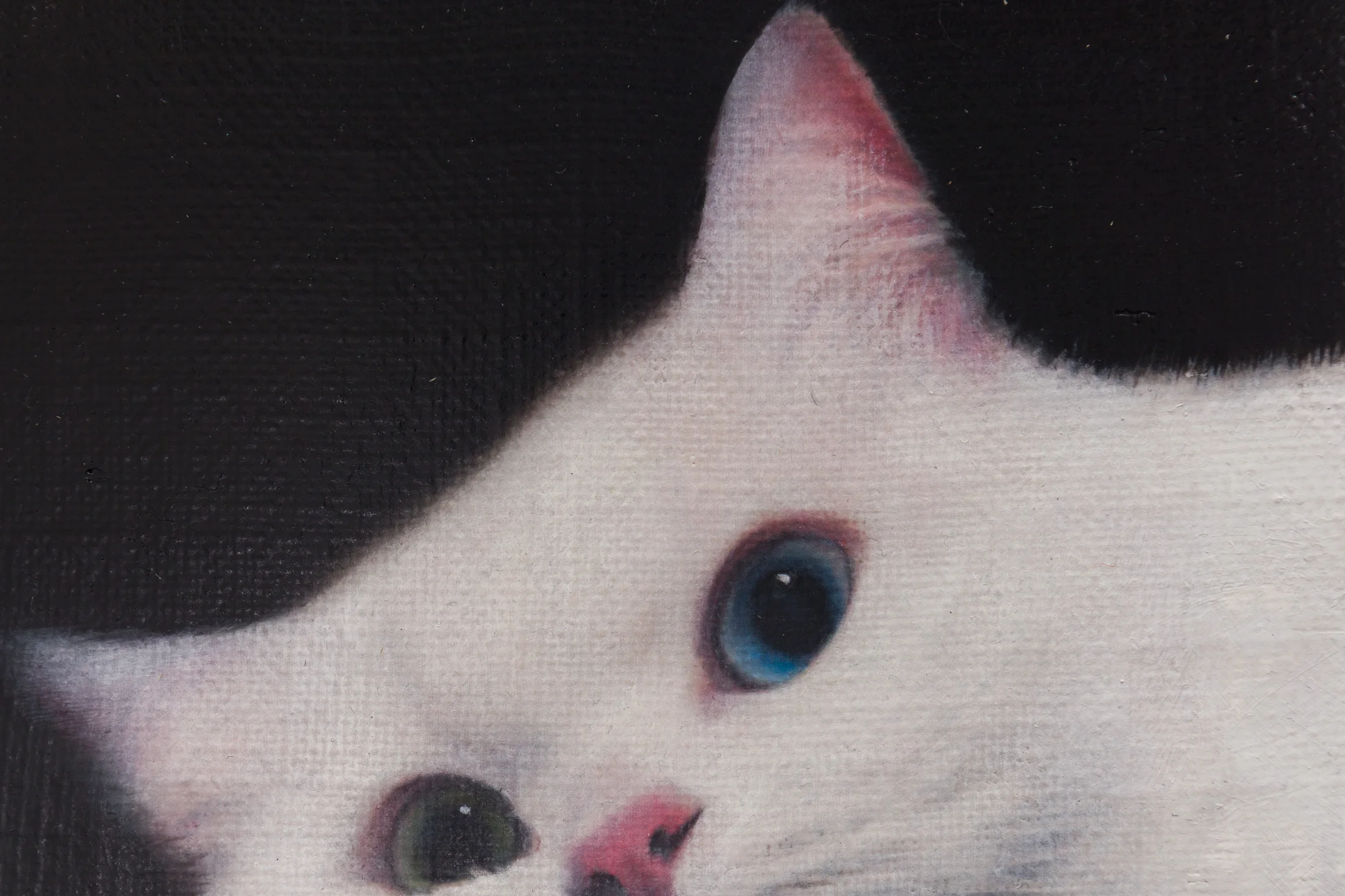 Detail of Cat on a leather chair by Joseph Jones