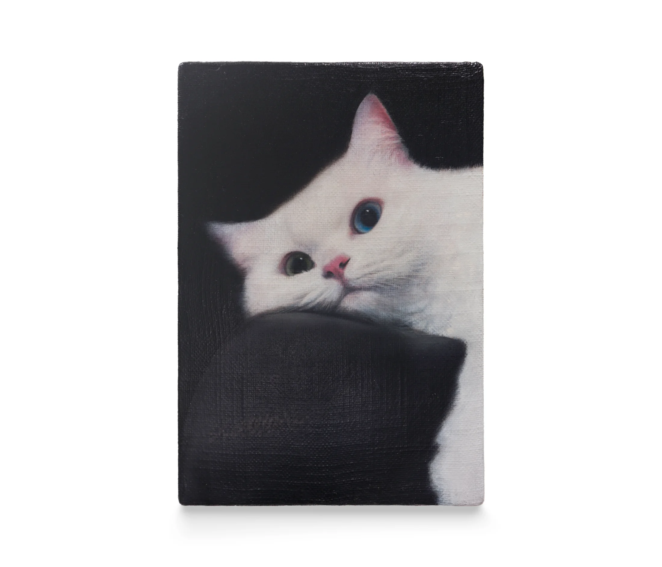 A painting by Joseph Jones of a white cat lying on a black sofa
