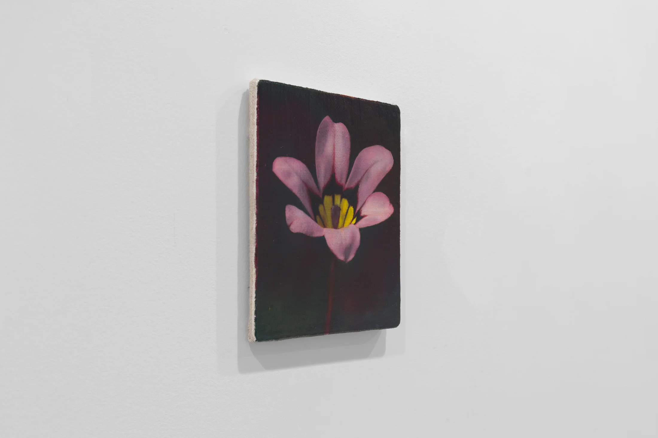 Detail of Harlequin Flower by Joseph Jones