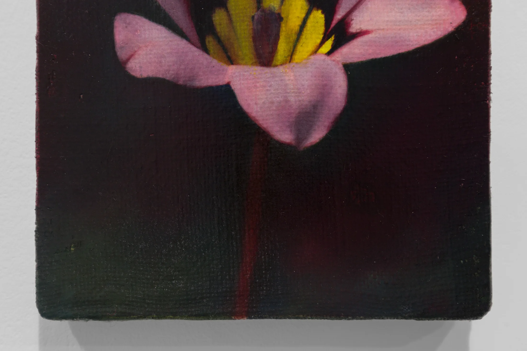 Detail of Harlequin Flower by Joseph Jones