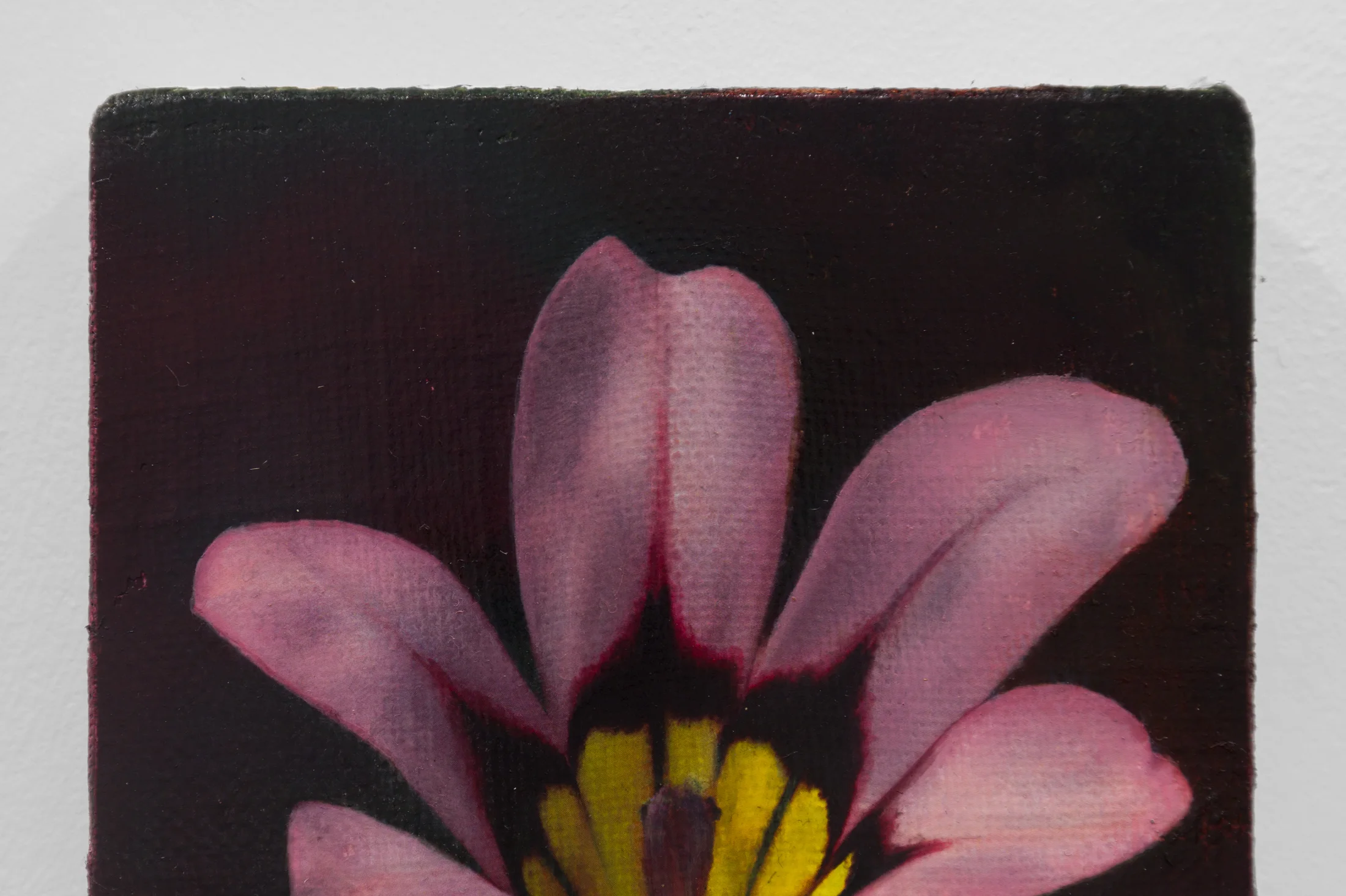 Detail of Harlequin Flower by Joseph Jones