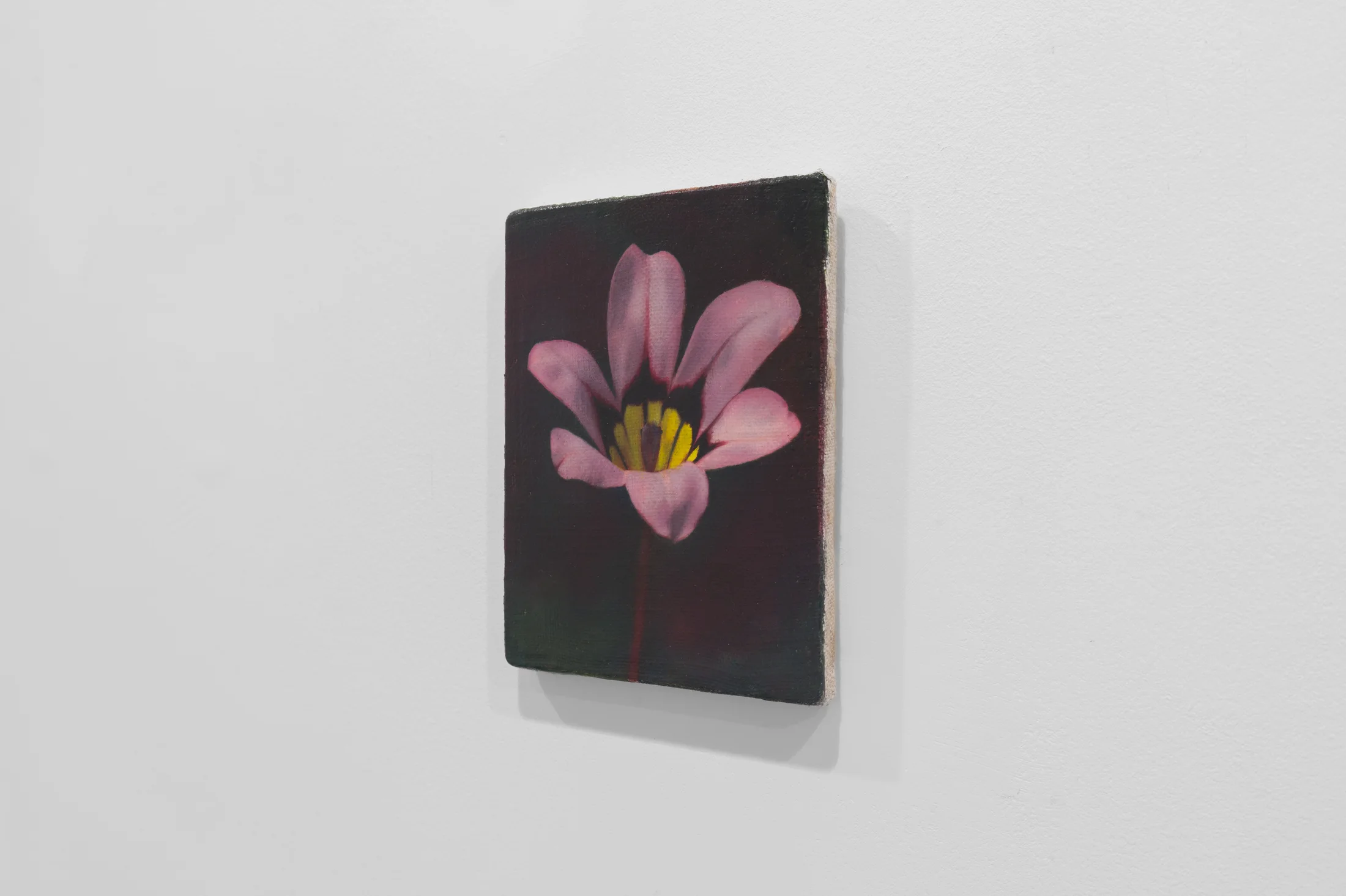 Detail of Harlequin Flower by Joseph Jones
