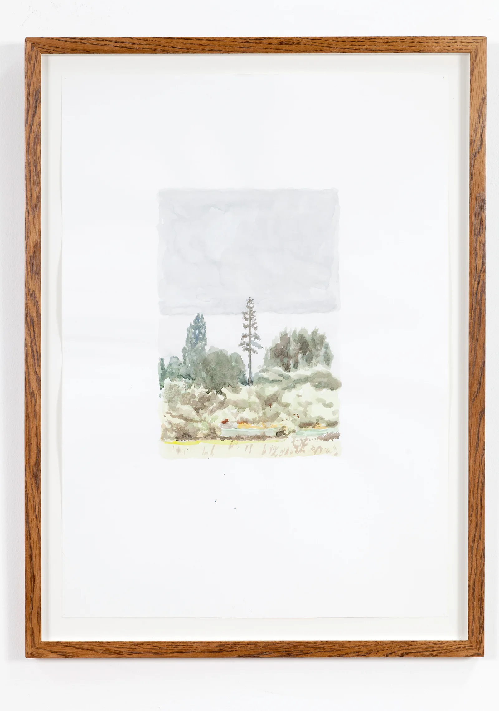 Magnus Quaife, A Phone Mast Pretneding to be a Tree
