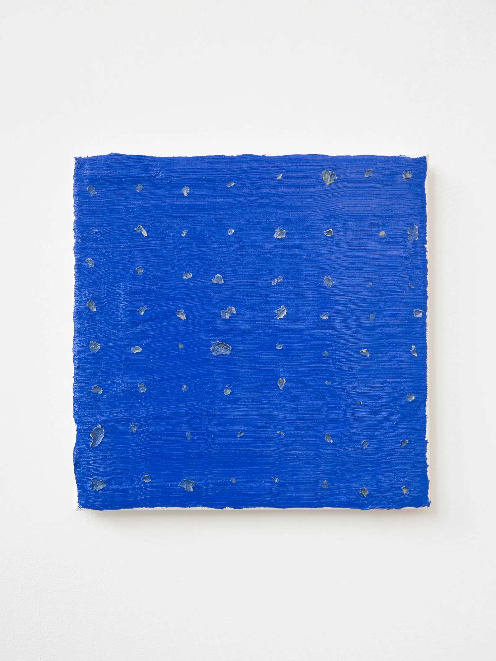 Magnus Quaife, Portrait, 2015