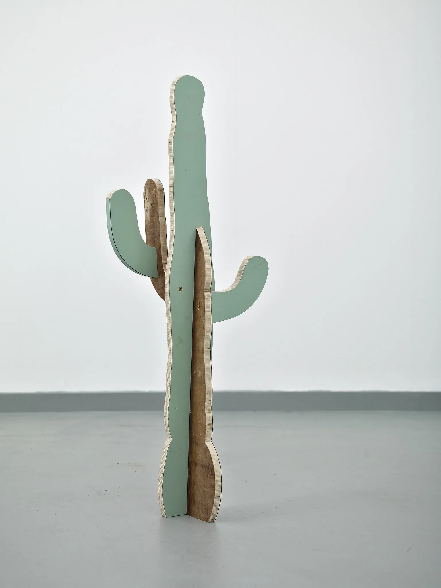 Paul Merrick, Cactus (Saguaro), 2014