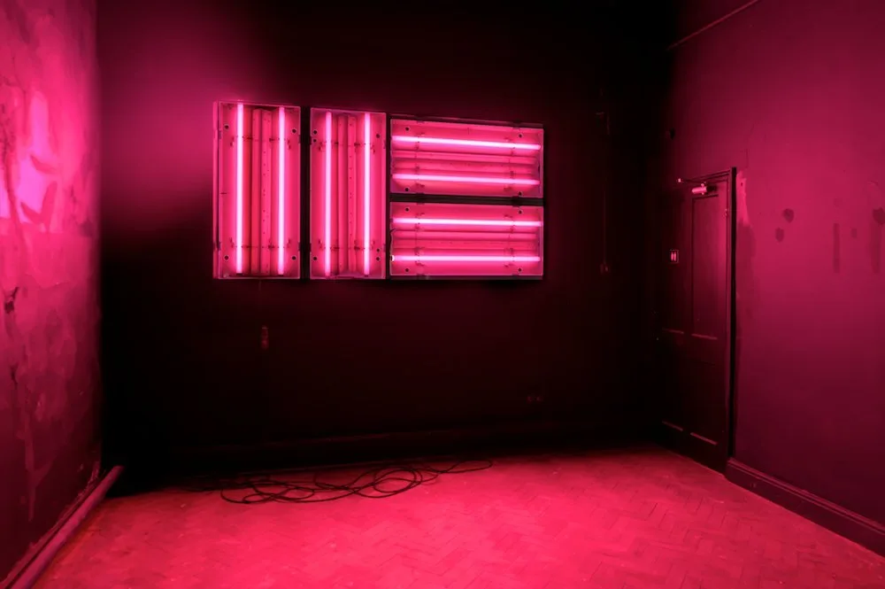 Paul Merrick, Flag, 2011