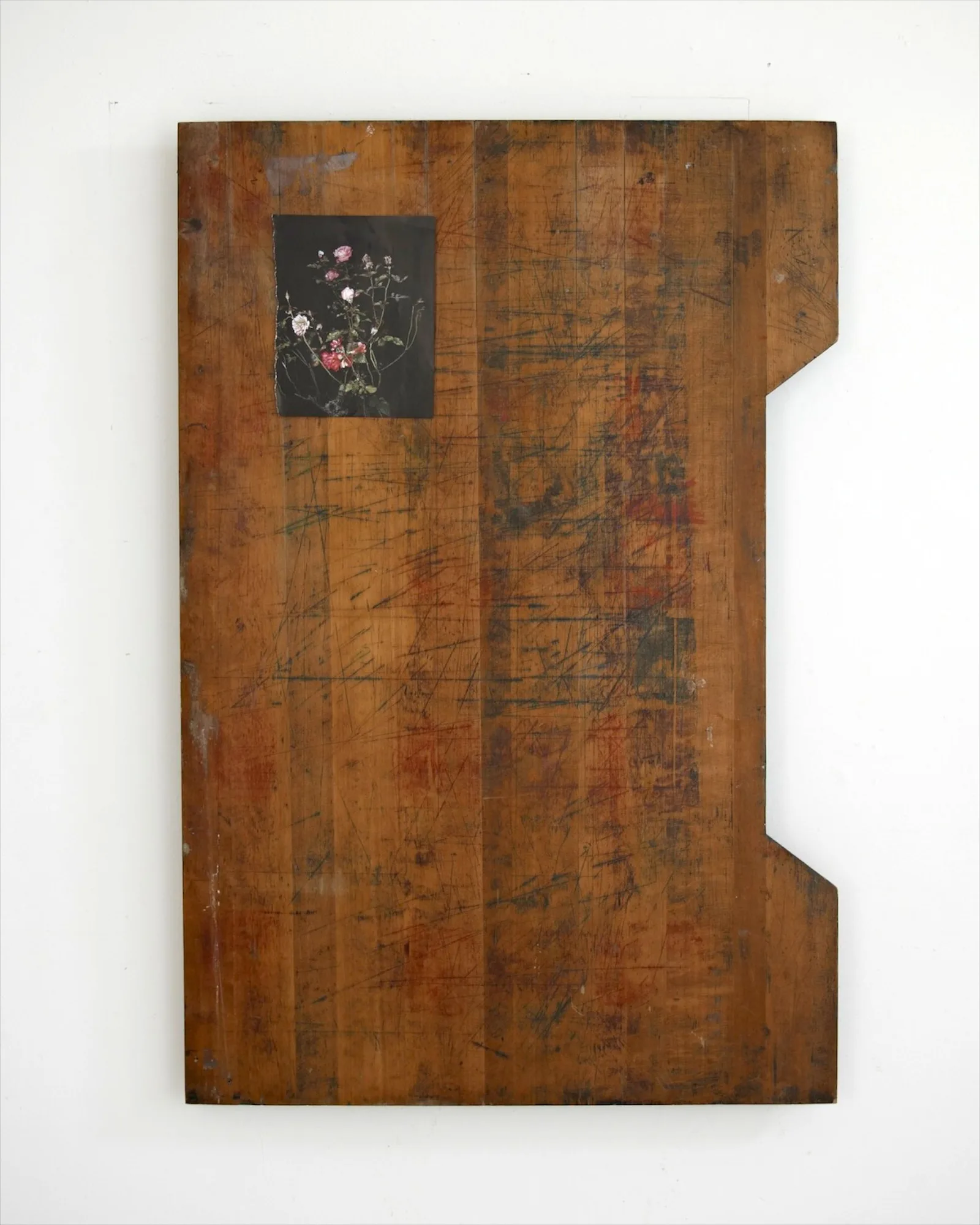 Paul Merrick, Untitled (Still Life), 2013