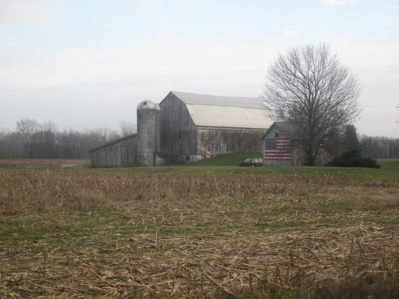 Sophie Lisa Beresford, Corn              [1 of 2], 2010