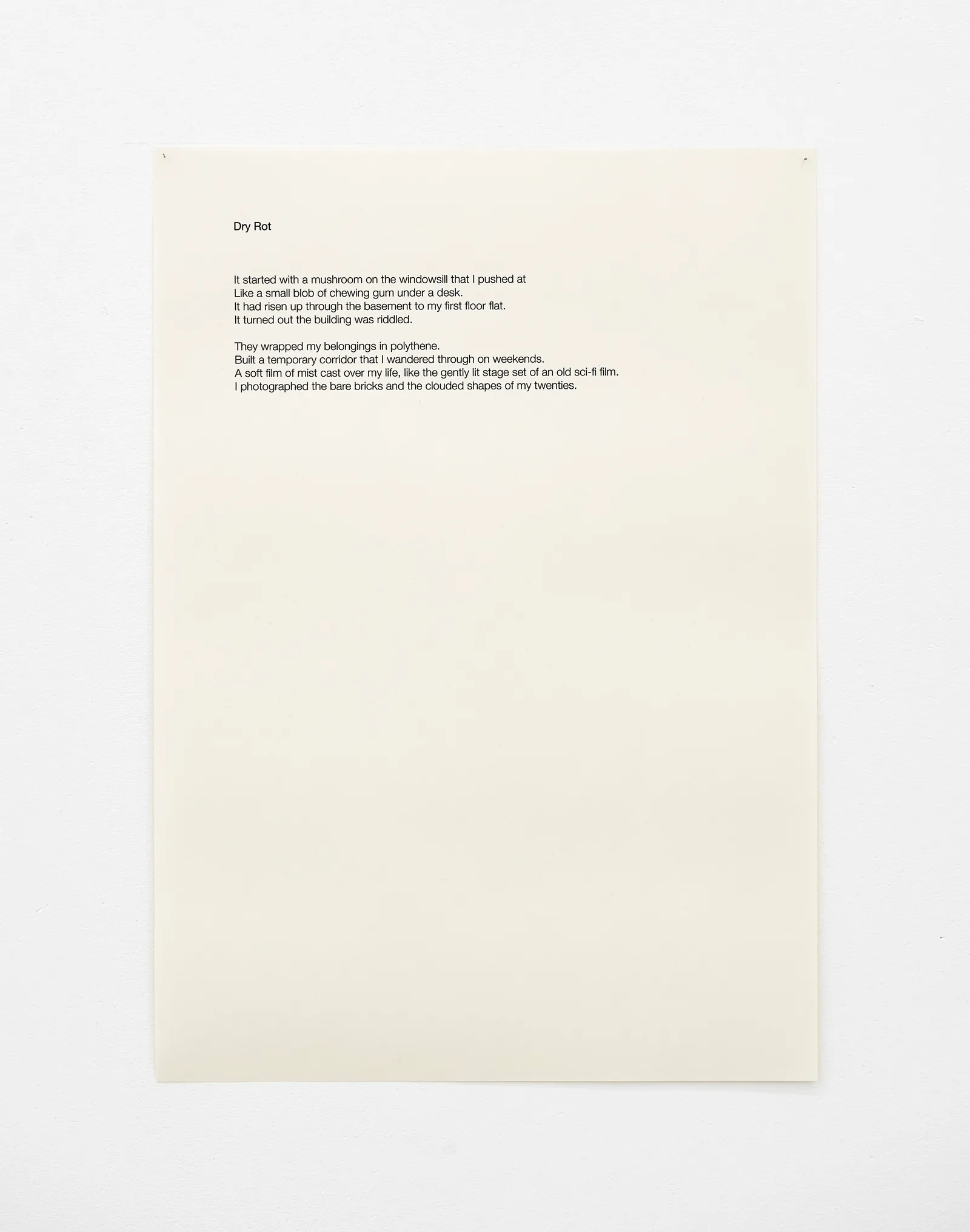 Tess Denman-Cleaver, Dry Rot, 2021