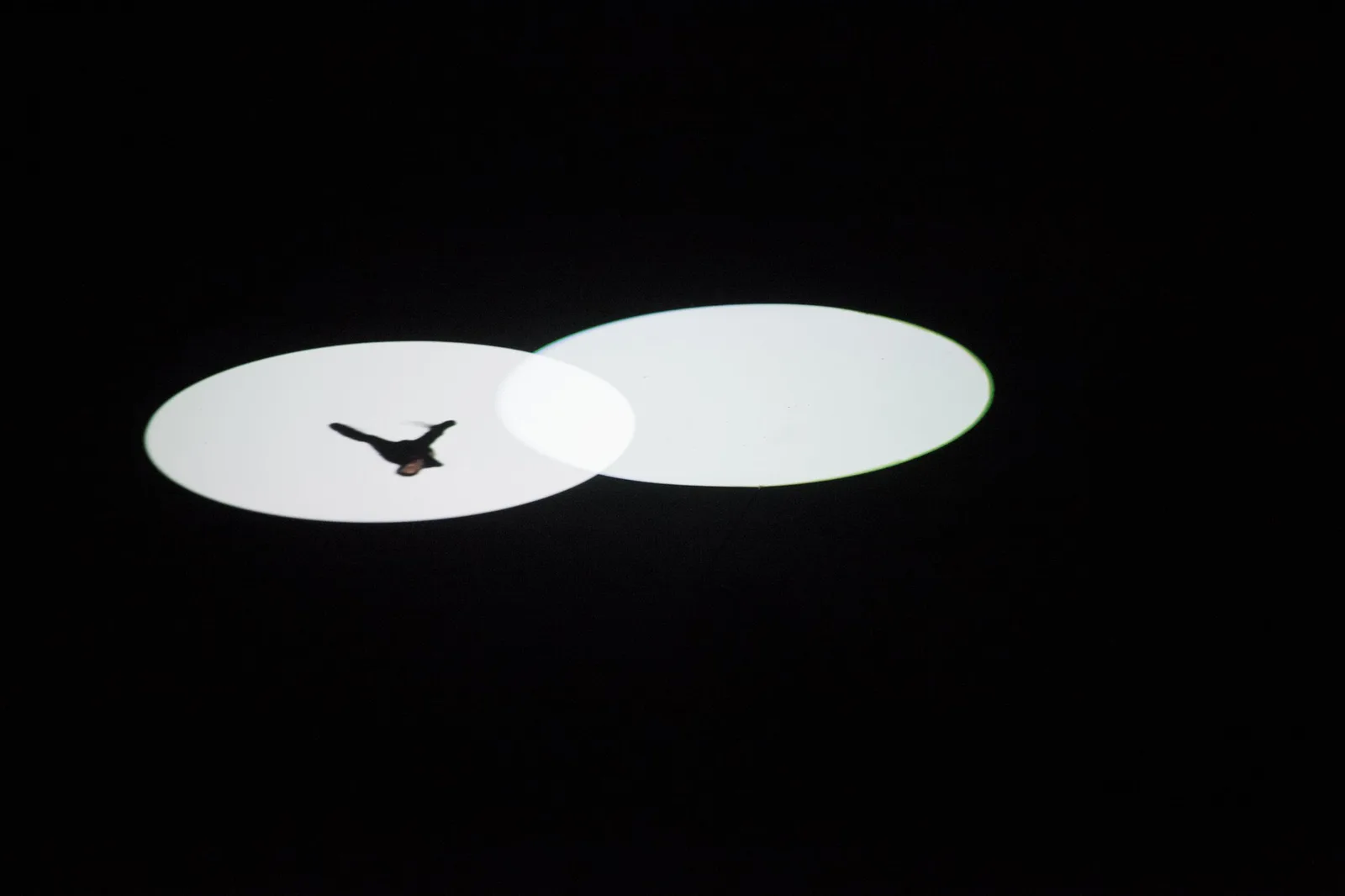 Tanya Axford, The Path Made by a Boat in Sound (3 down), 2012