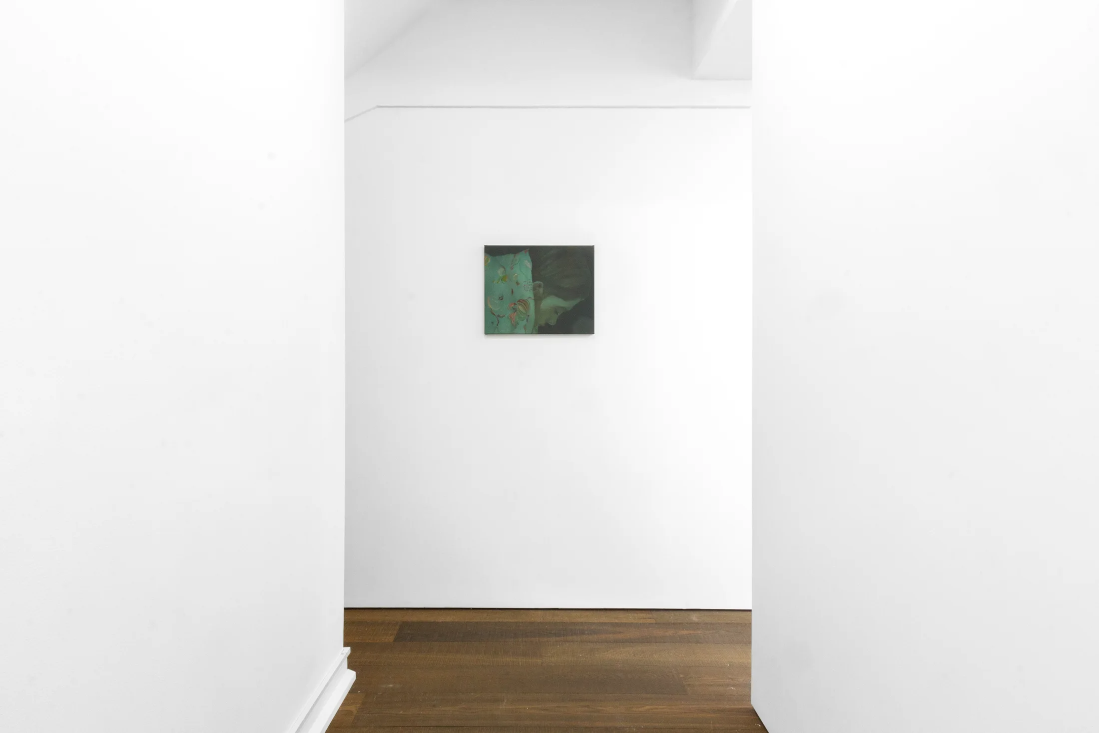 Installation shots of Katinka Lampe's exhibition 'Anima Mundi' at Workplace | London