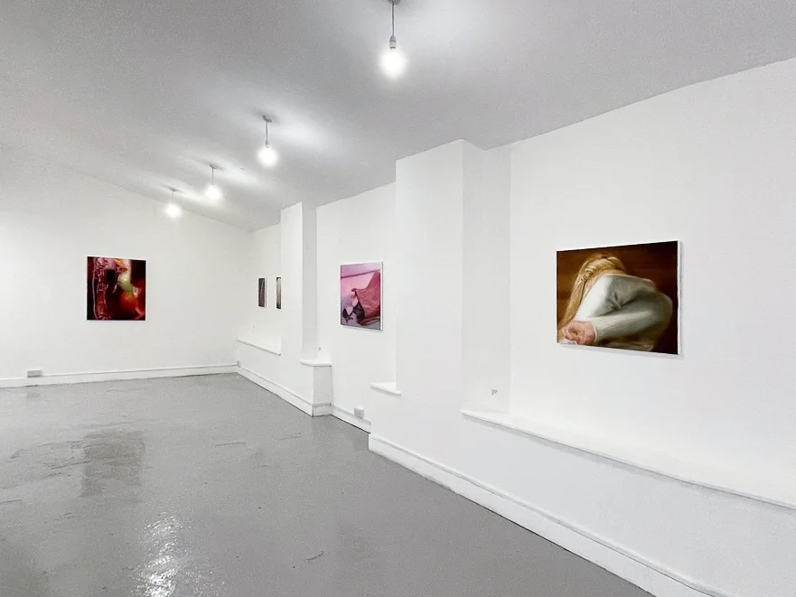 Installation images of Rachel Lancaster's exhibition at Elysium Gallery, Swansea