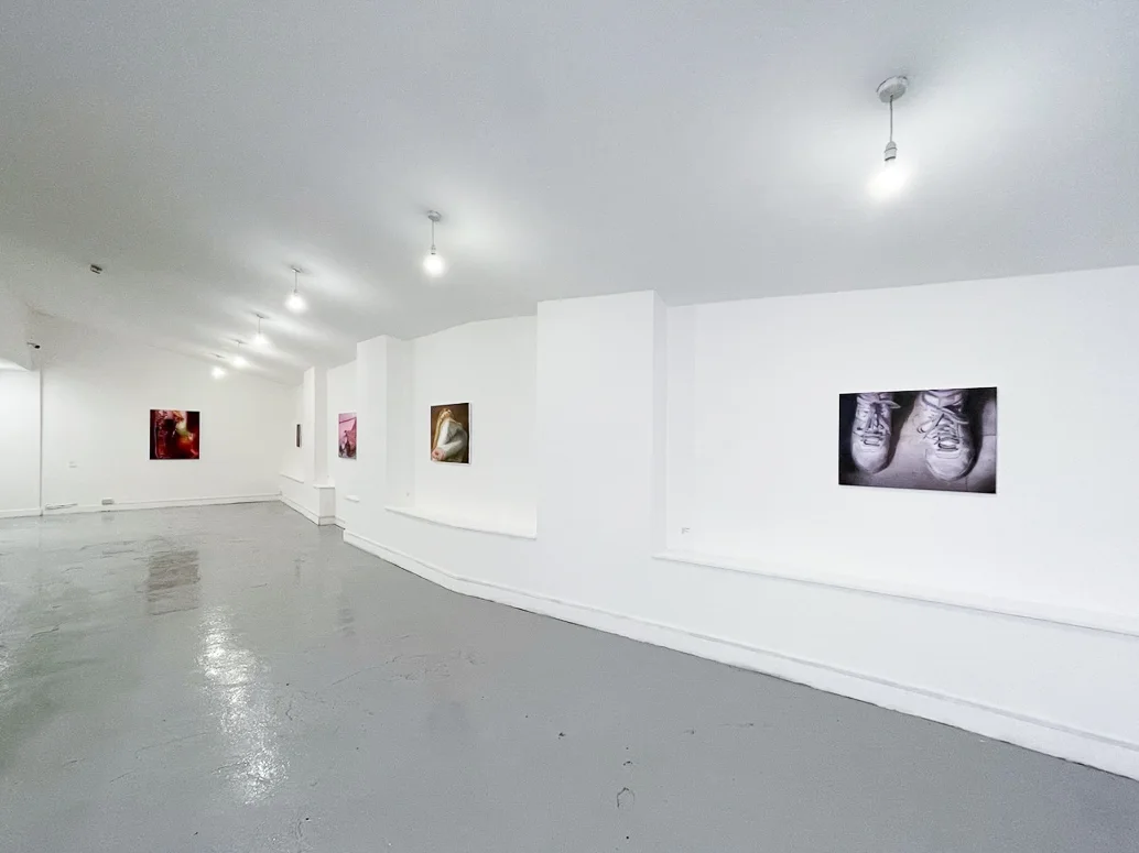Installation images of Rachel Lancaster's exhibition at Elysium Gallery, Swansea