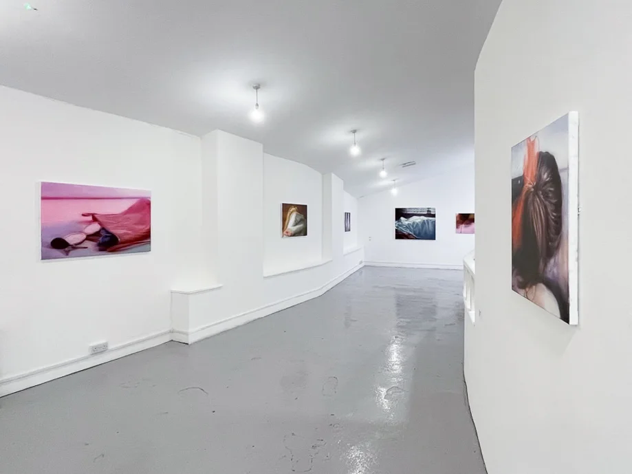 Installation images of Rachel Lancaster's exhibition at Elysium Gallery, Swansea