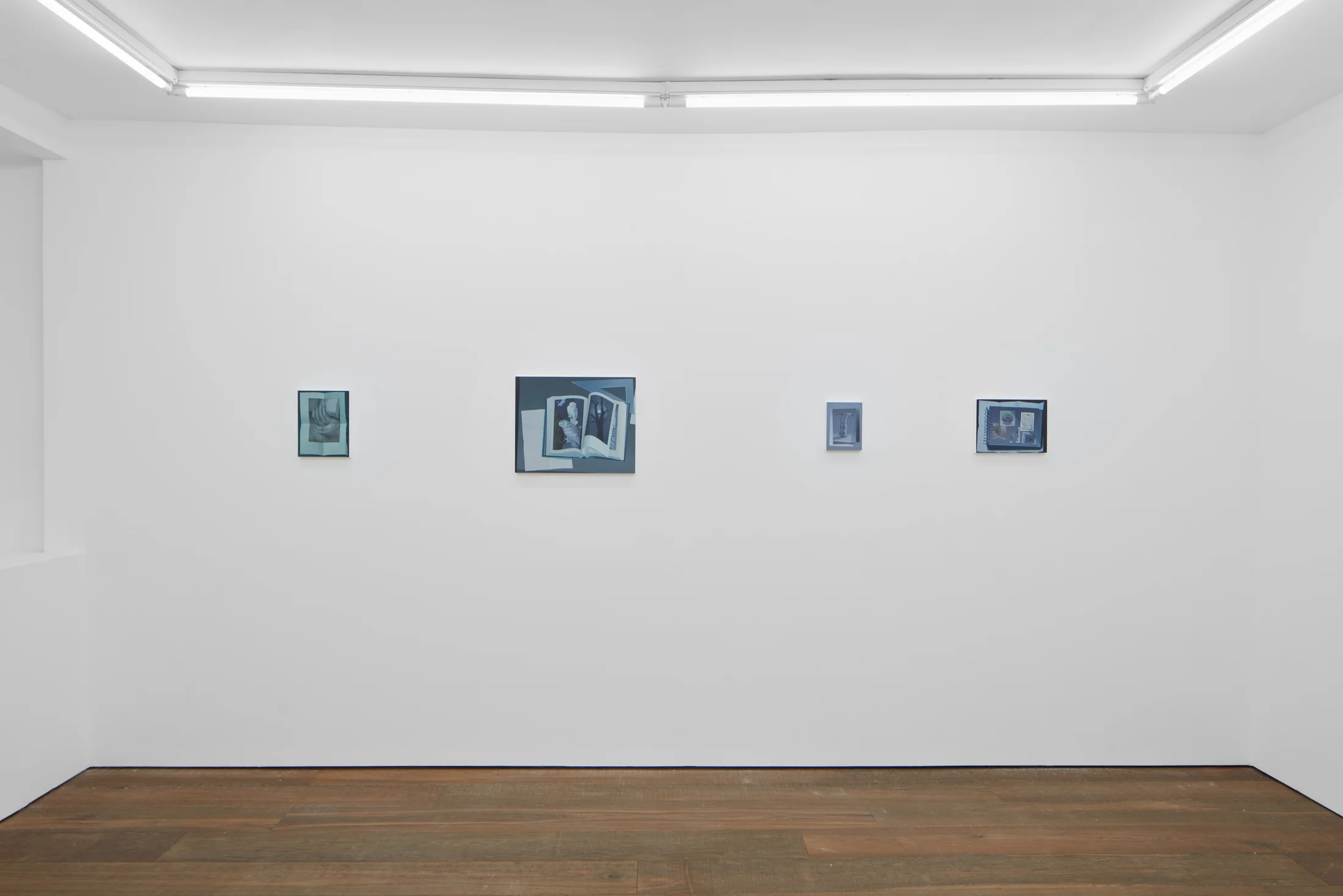 Installation shots of Olivia Jia's solo exhibition Ex Libris, at Workplace | London