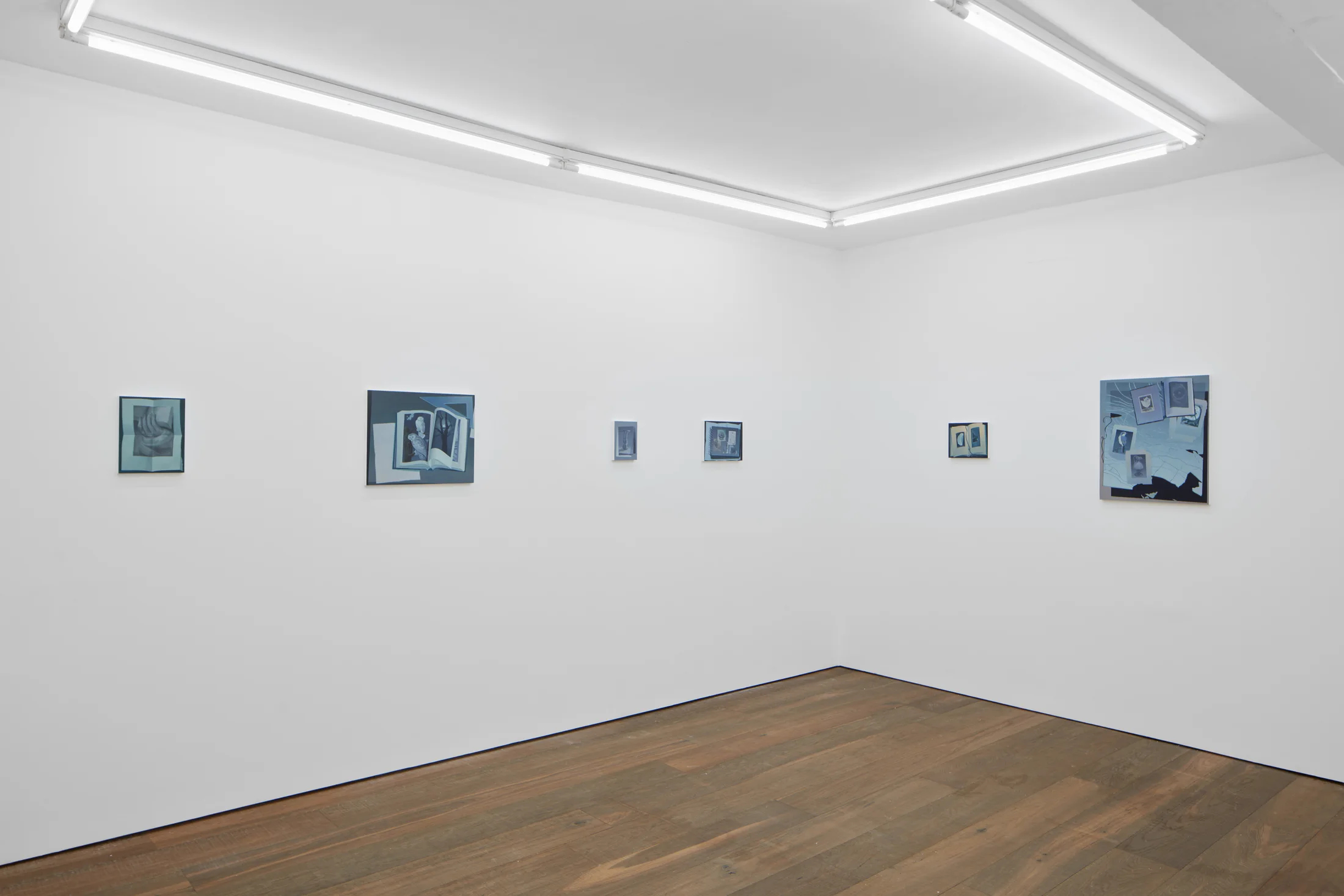 Installation shots of Olivia Jia's solo exhibition Ex Libris, at Workplace | London
