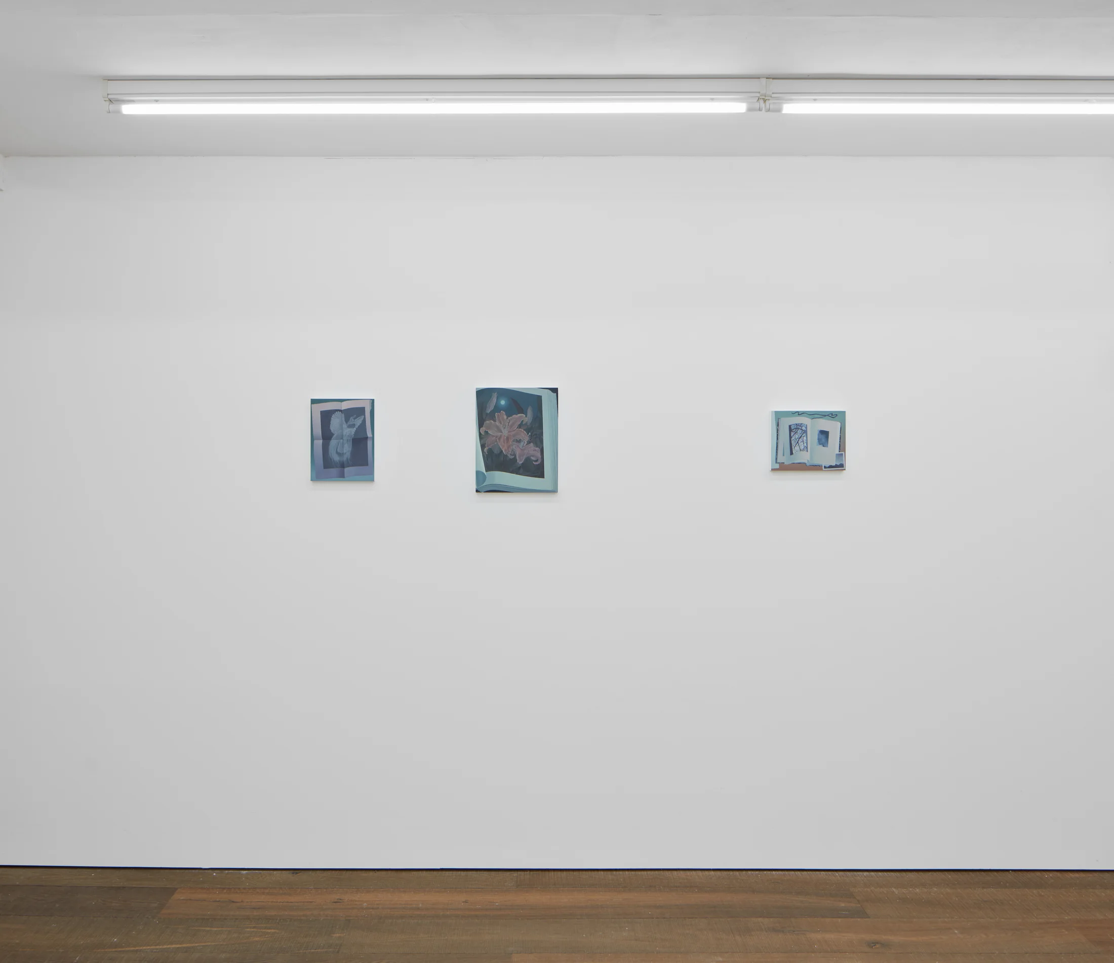 Installation shots of Olivia Jia's solo exhibition Ex Libris, at Workplace | London