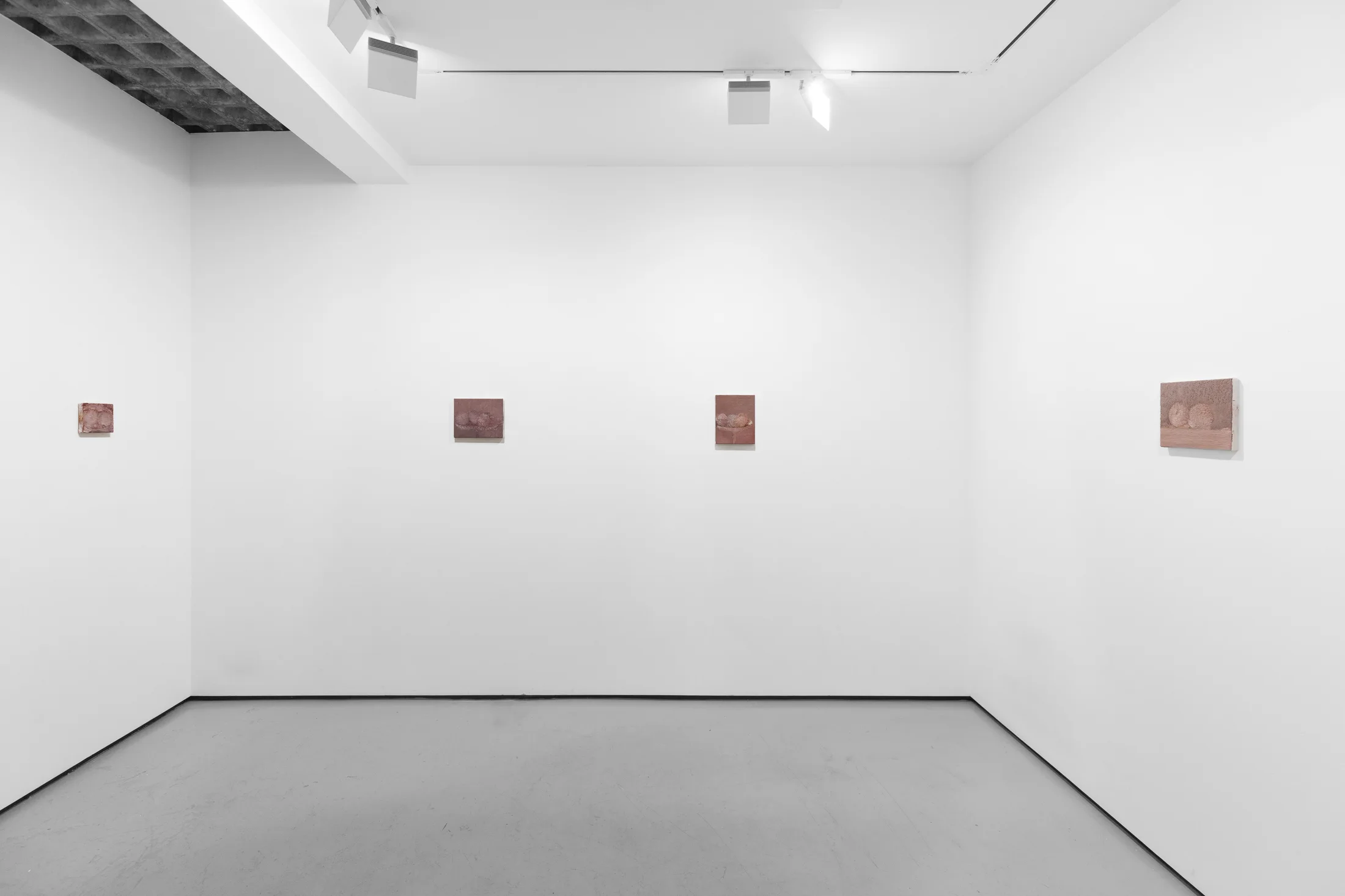 Installation view of Focus: Marta Ravasi