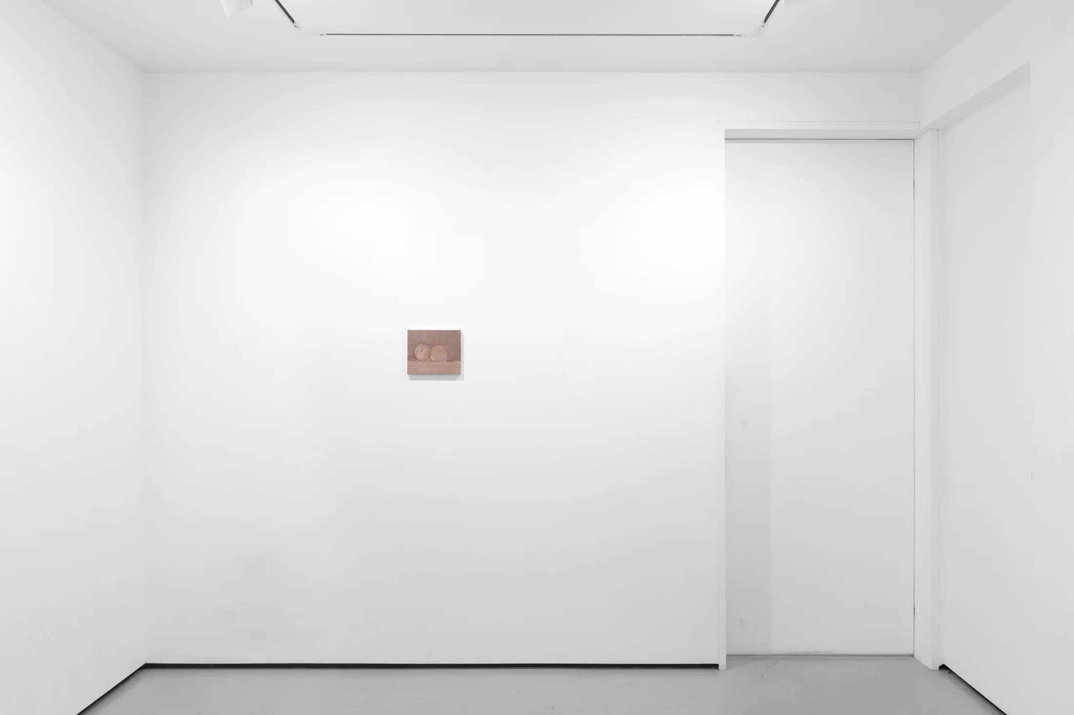 Installation view of Focus: Marta Ravasi