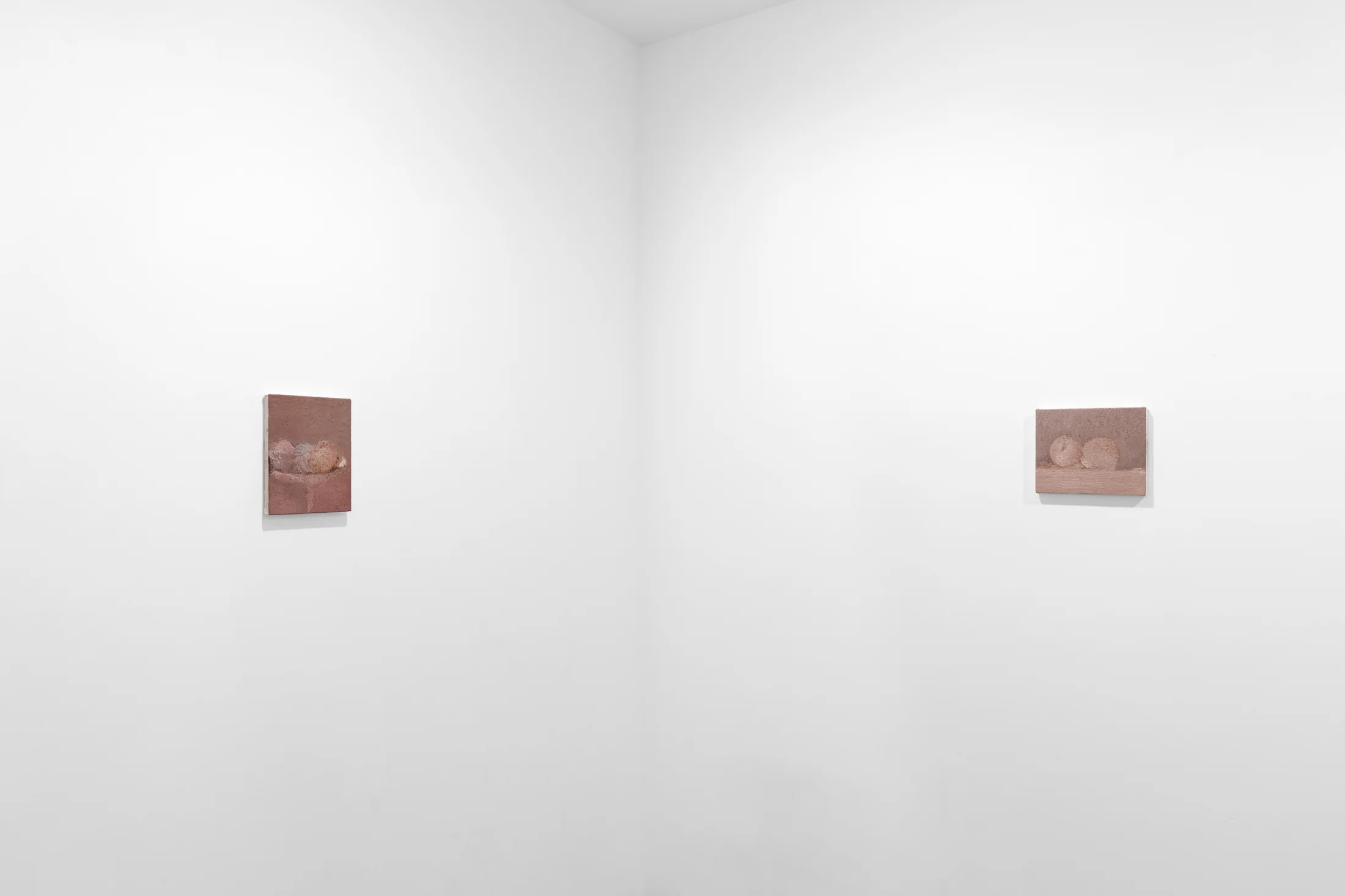 Installation view of Focus: Marta Ravasi