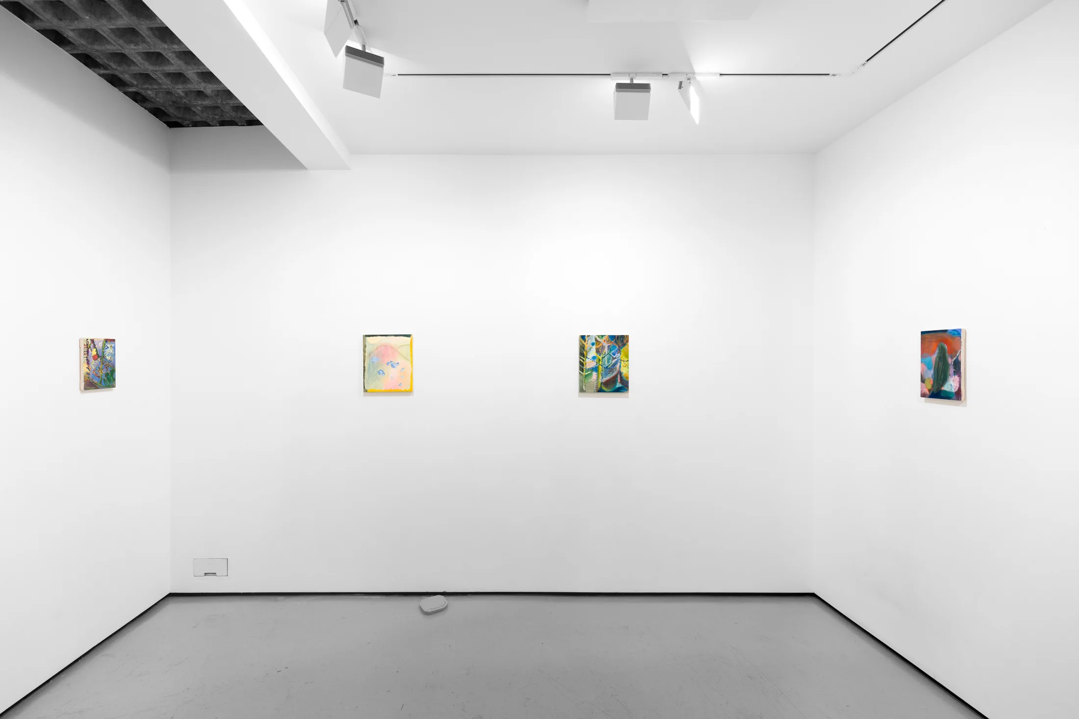 Installation image of Focus with Amy Winstanley
