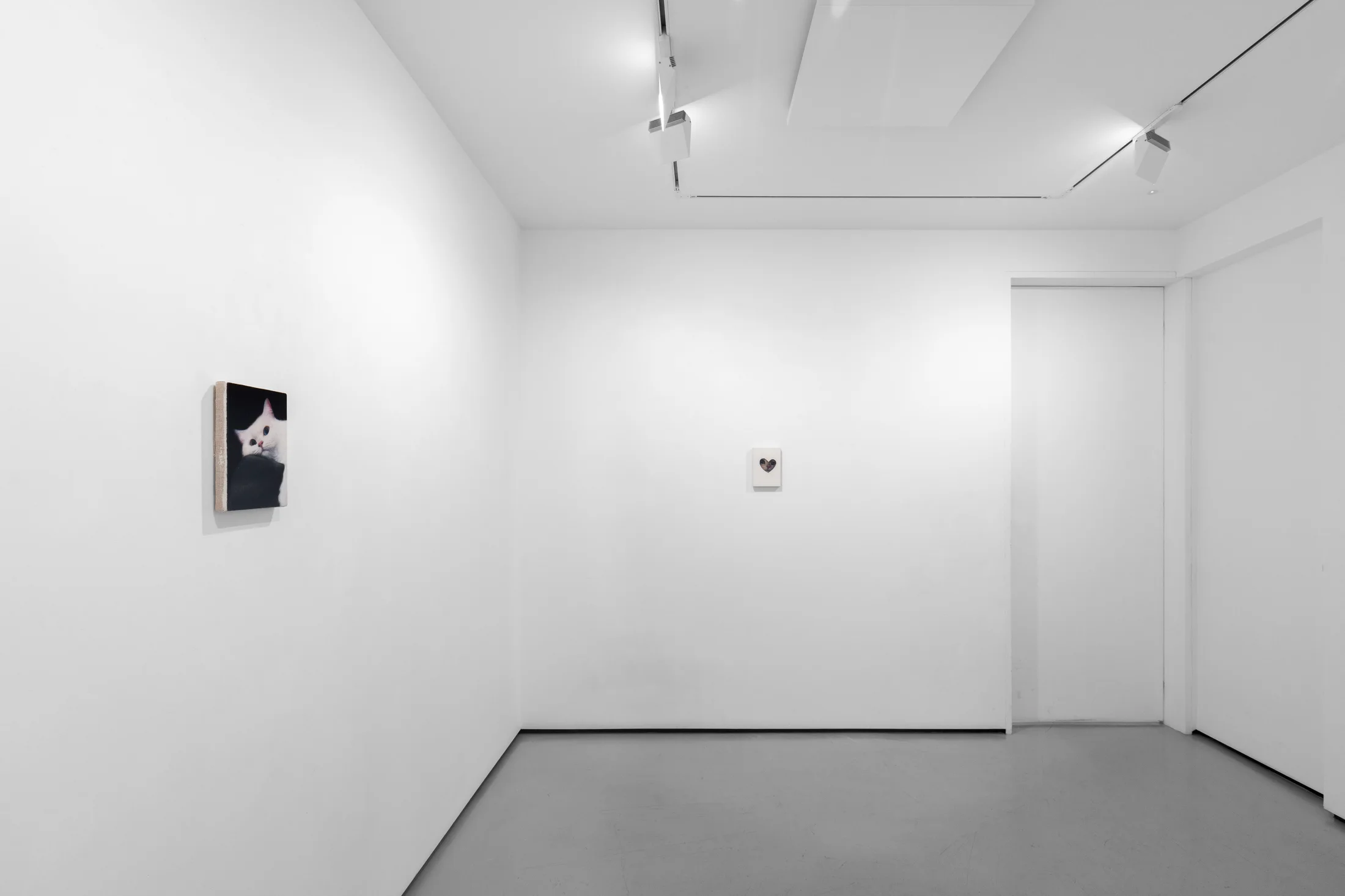 Installation views of Joseph Jones - Focus presentation at Workplace London