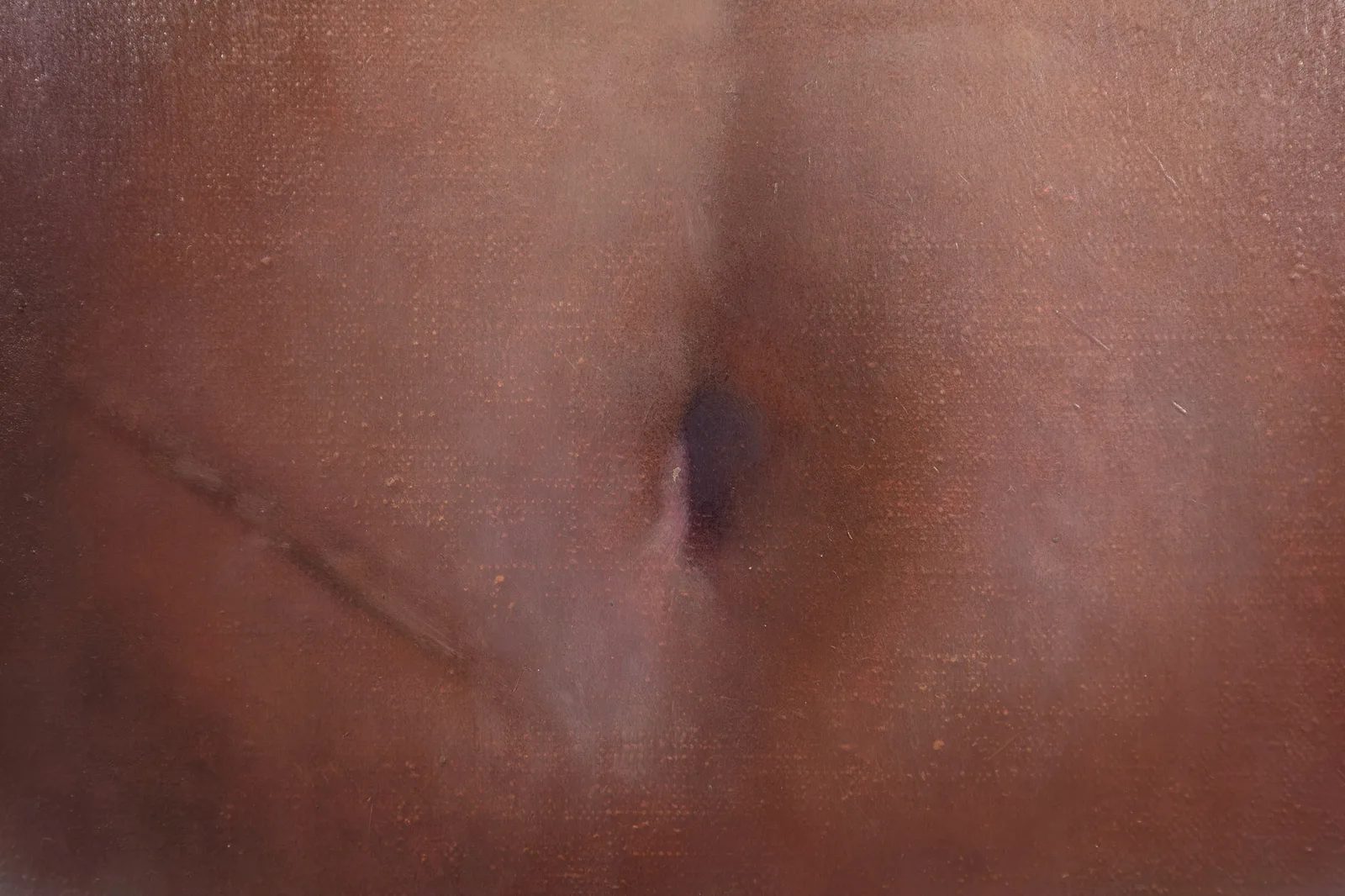 a cropped image of a painting by Pei Wang that depicts a stomach with naval and a scar