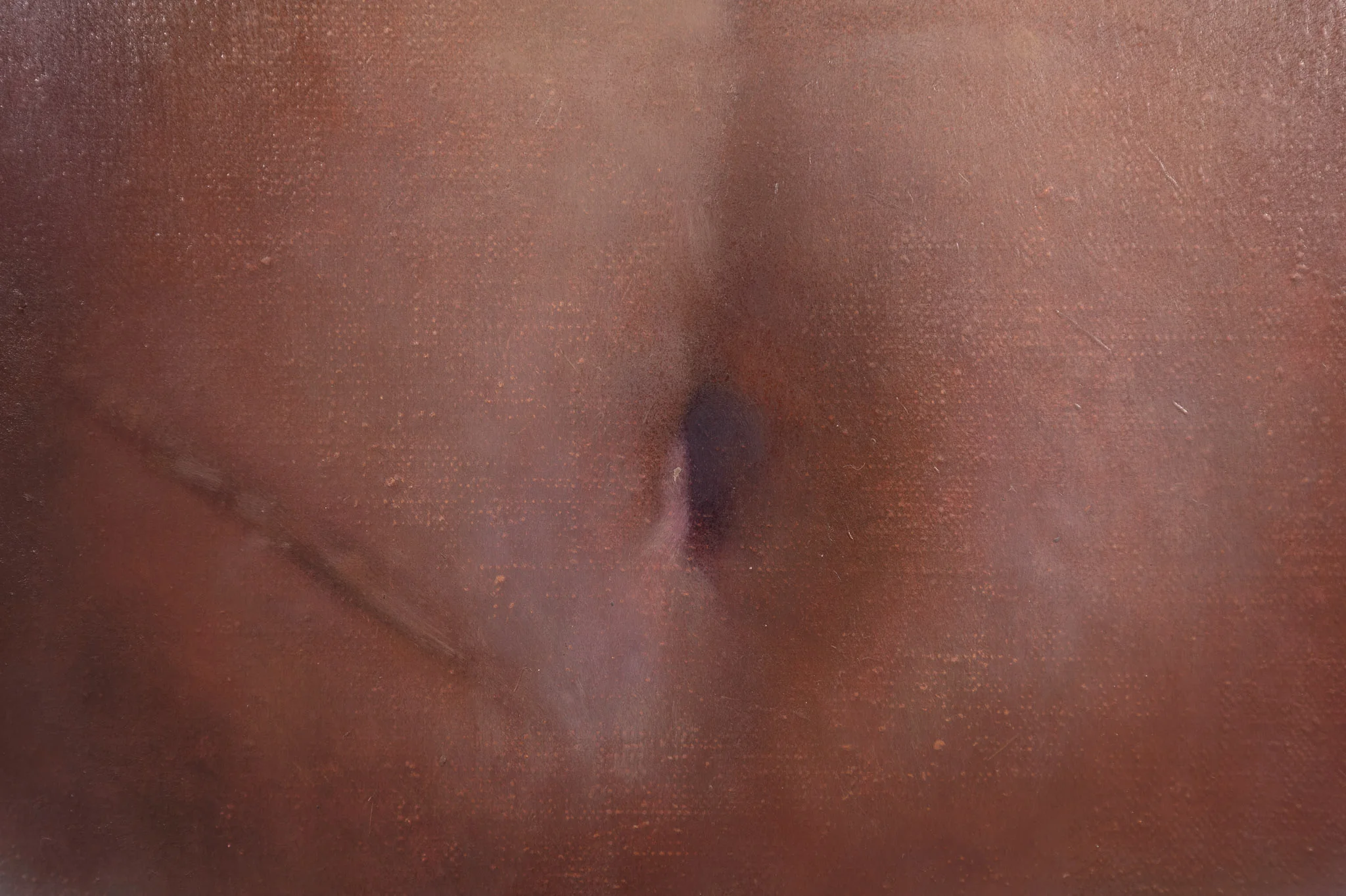 a cropped image of a painting by Pei Wang that depicts a stomach with naval and a scar