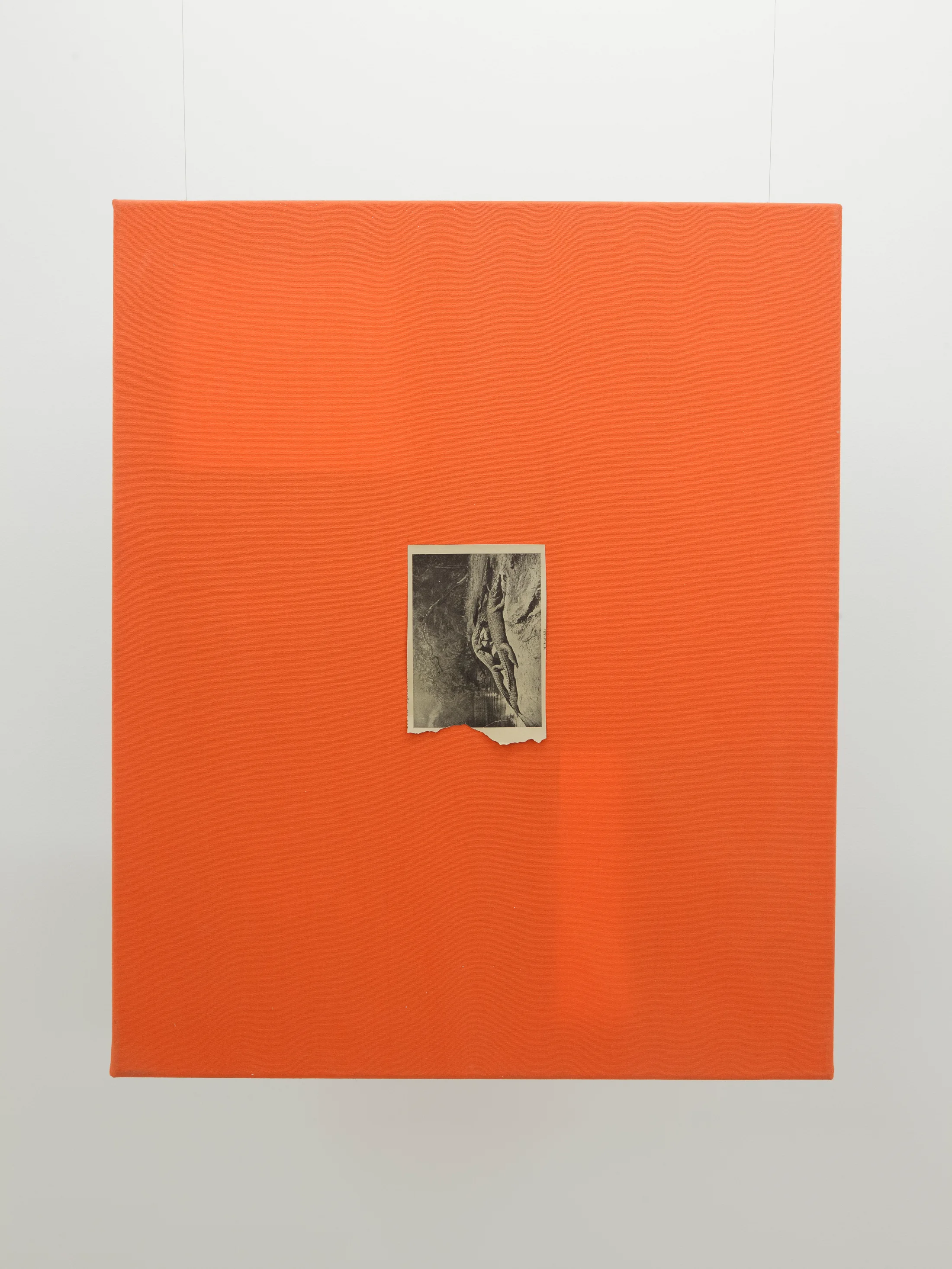 installation shots of Hugo Canoilas' exhibition at Workplace London