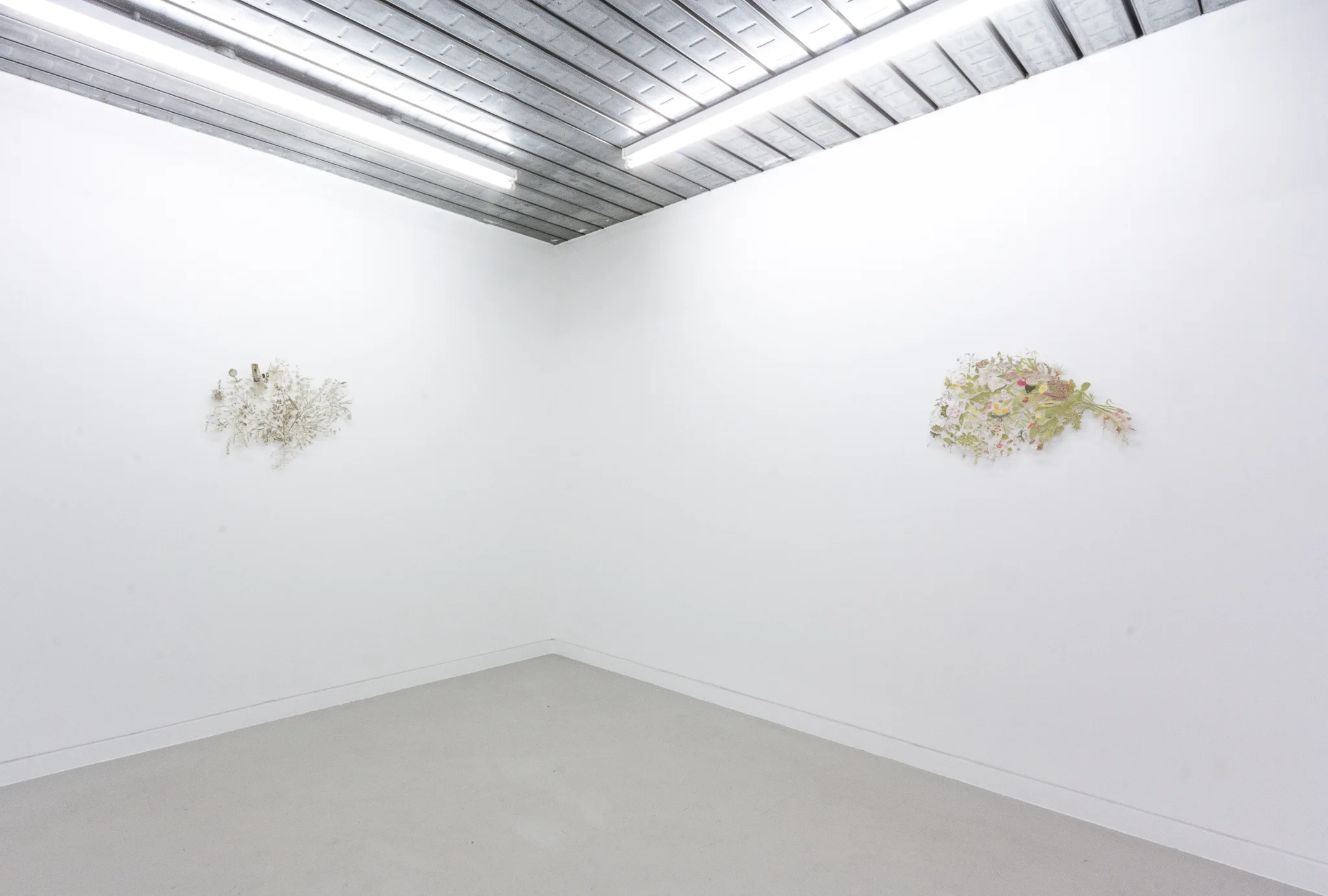 Installation documentation of Jo Coupe: All That Fall / Joseph Beuys: Wirtschaftswert at Workplace | London