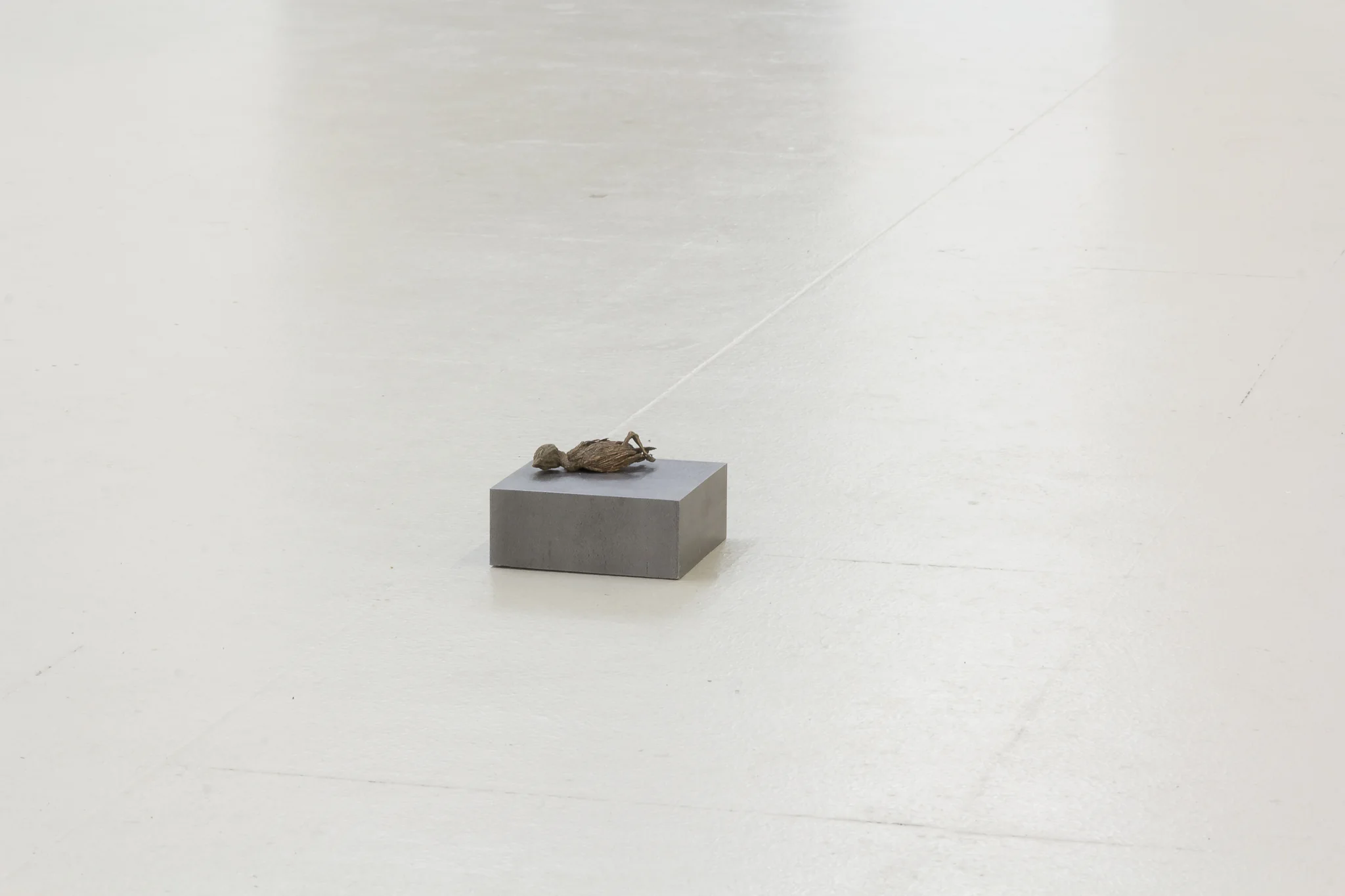 Installation documentation of Jo Coupe: All That Fall / Joseph Beuys: Wirtschaftswert at Workplace | London