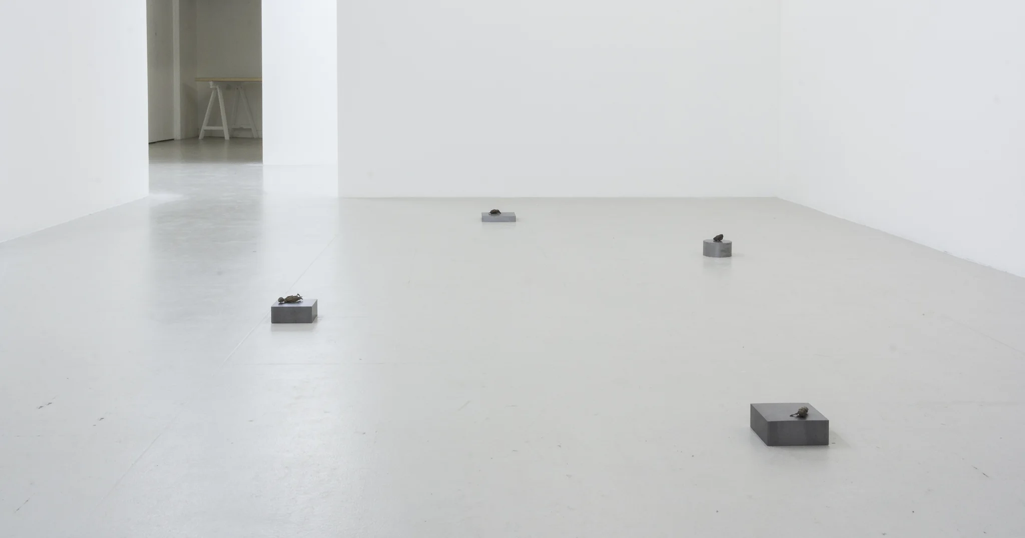 Installation documentation of Jo Coupe: All That Fall / Joseph Beuys: Wirtschaftswert at Workplace | London