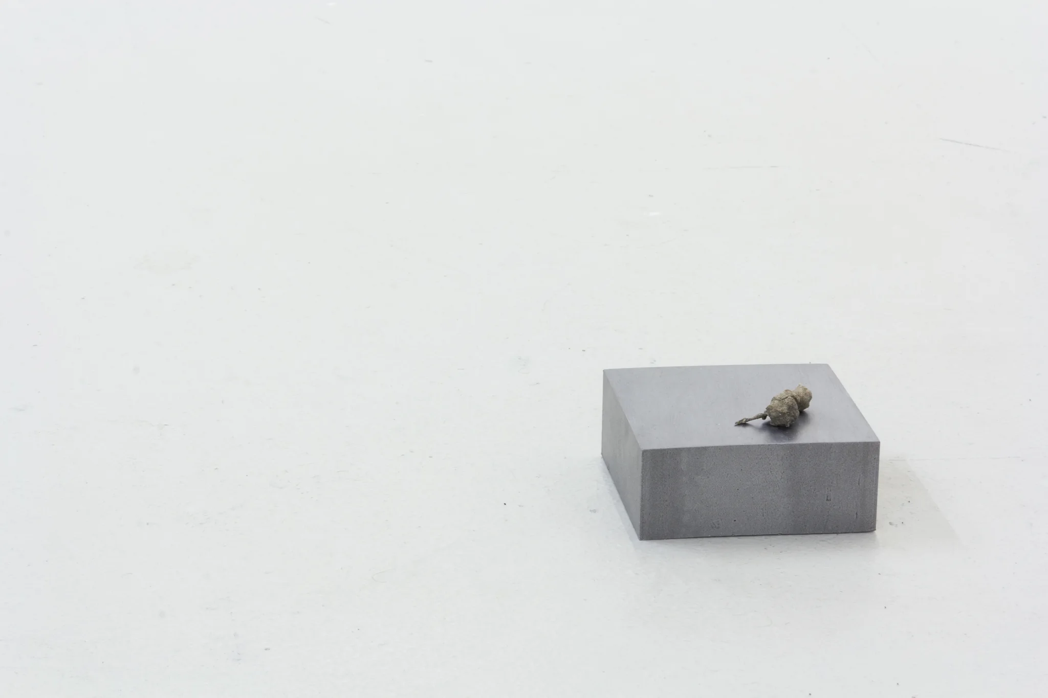 Installation documentation of Jo Coupe: All That Fall / Joseph Beuys: Wirtschaftswert at Workplace | London