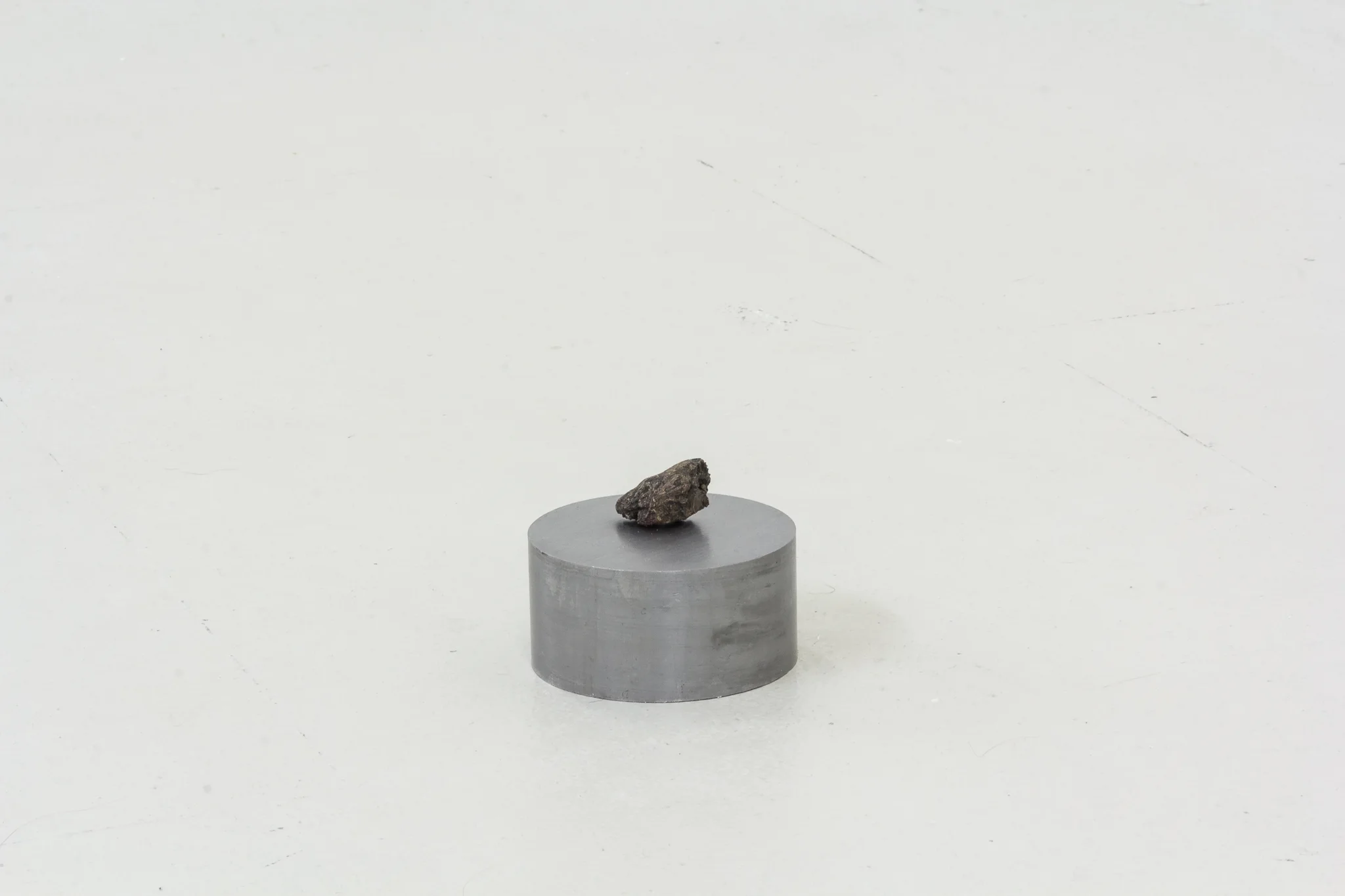 Installation documentation of Jo Coupe: All That Fall / Joseph Beuys: Wirtschaftswert at Workplace | London