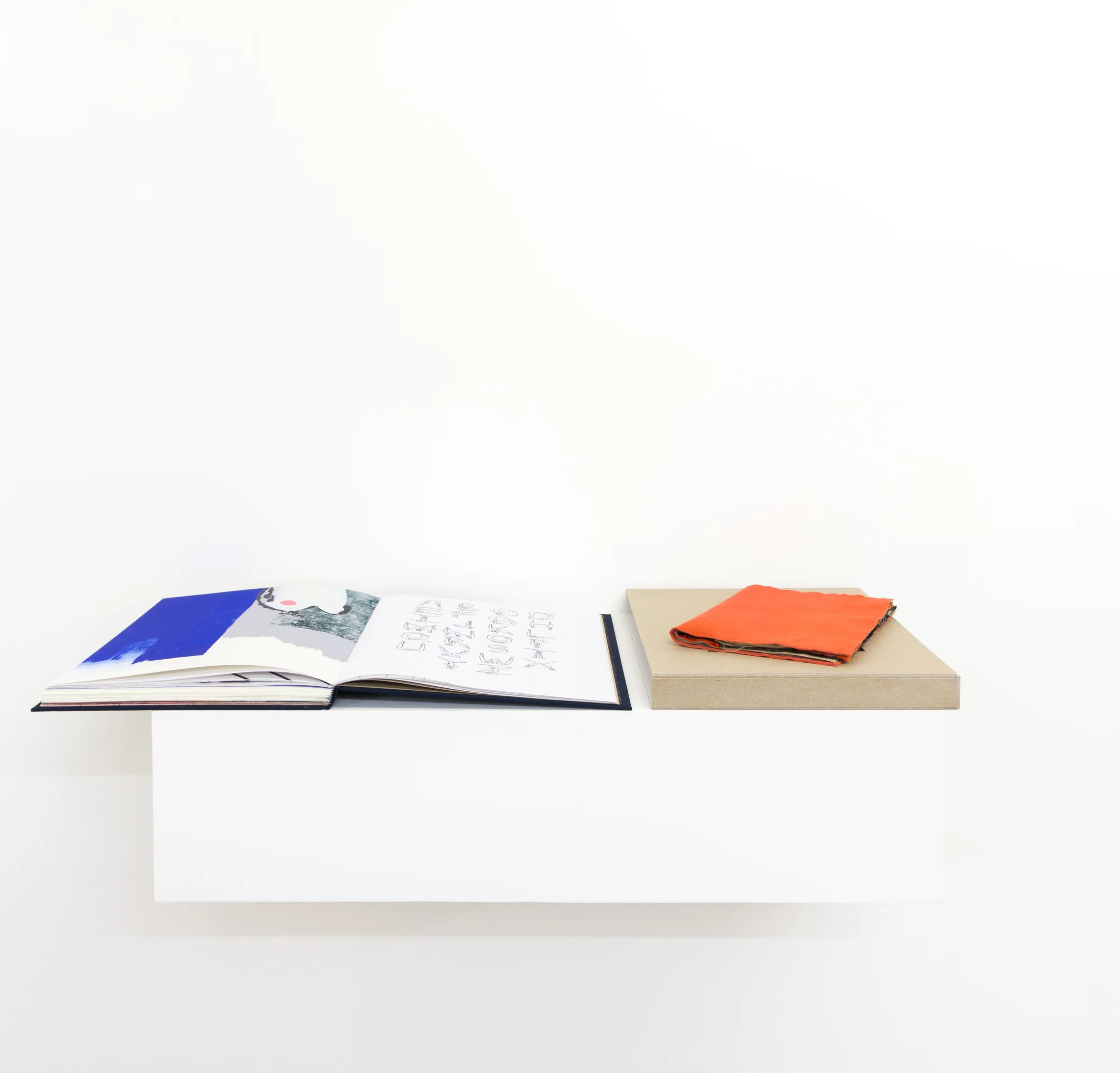 Installation documentation from 'Later Is Now' a group exhibition curated by Hugo Canoilas at Workplace | London