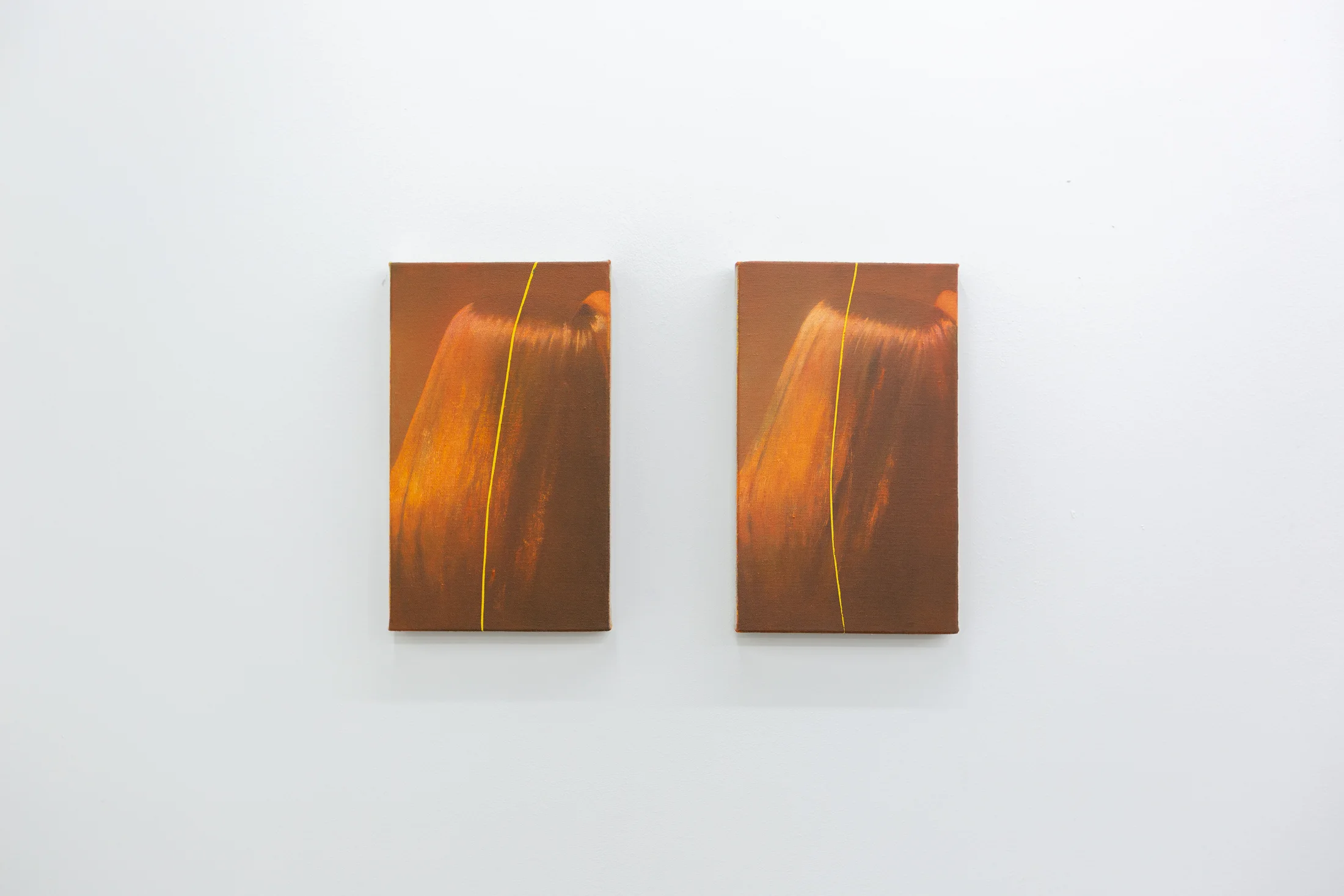 Installation photographs of Louise Giovanelli's exhibition 'in mediās rēs' at Workplace | London