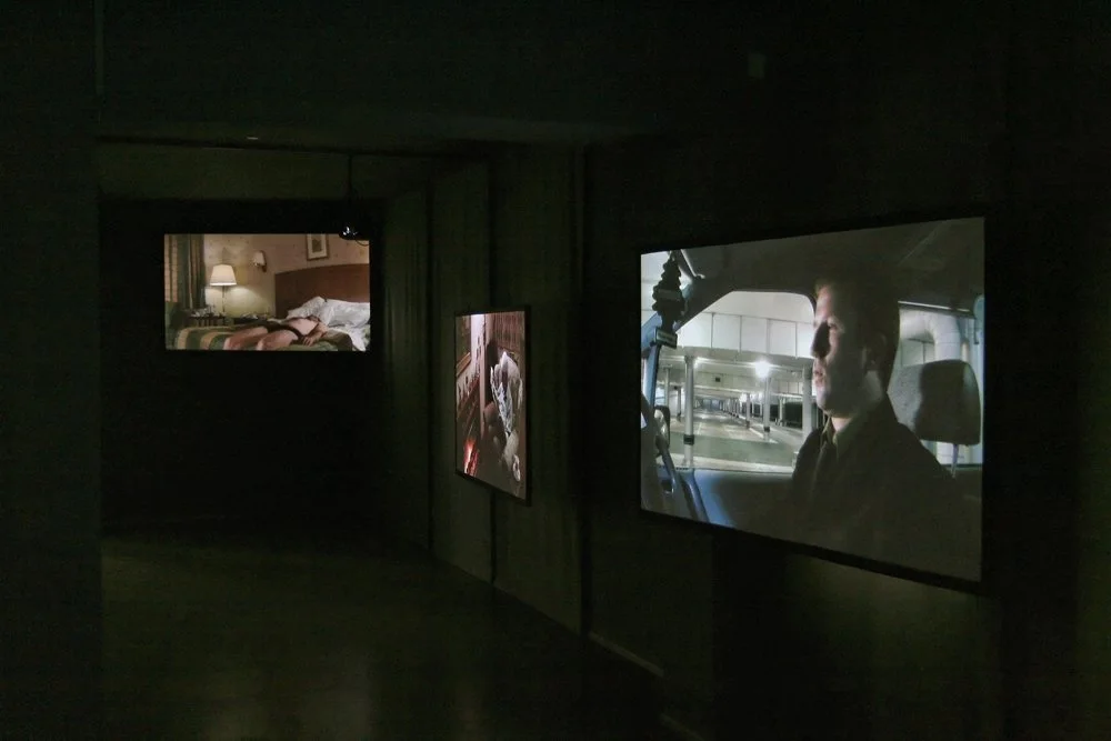 Dawn Chorus by Marcus Coates at Manifesta 7