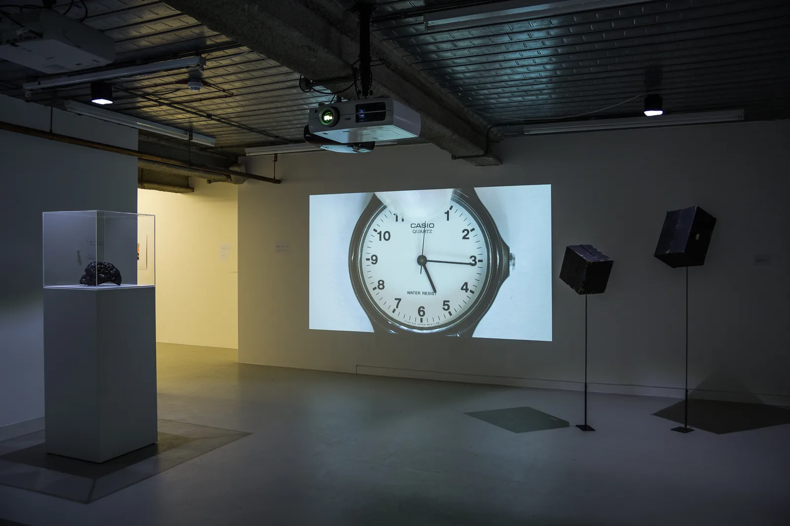 Installation image of Marcus Coates at Workplace | London