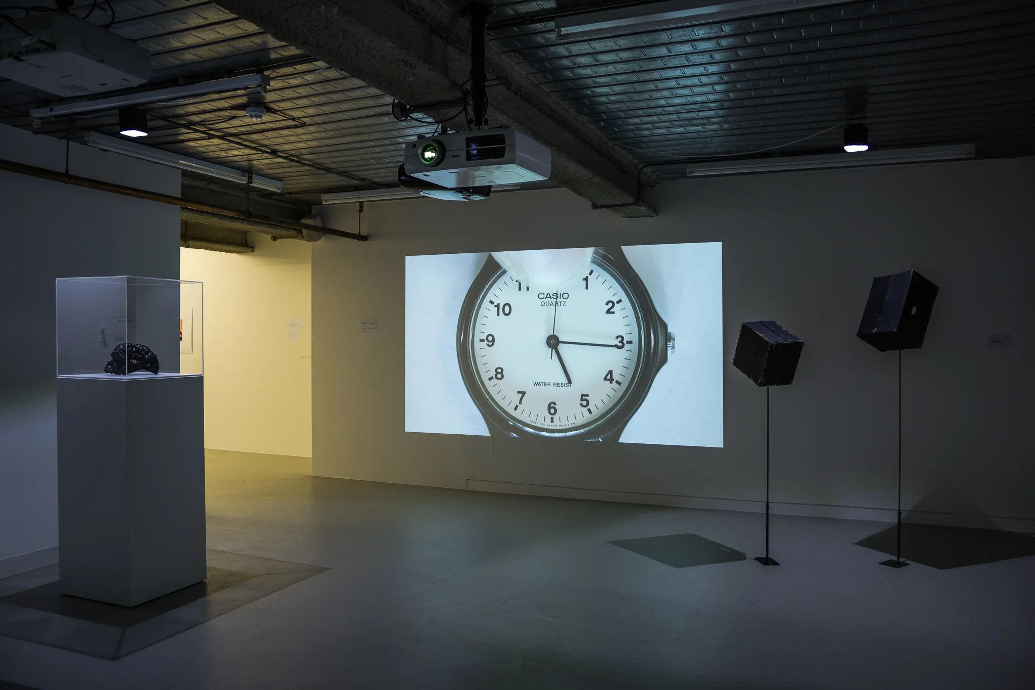 Installation images of Marcus Coates at Workplace | London
