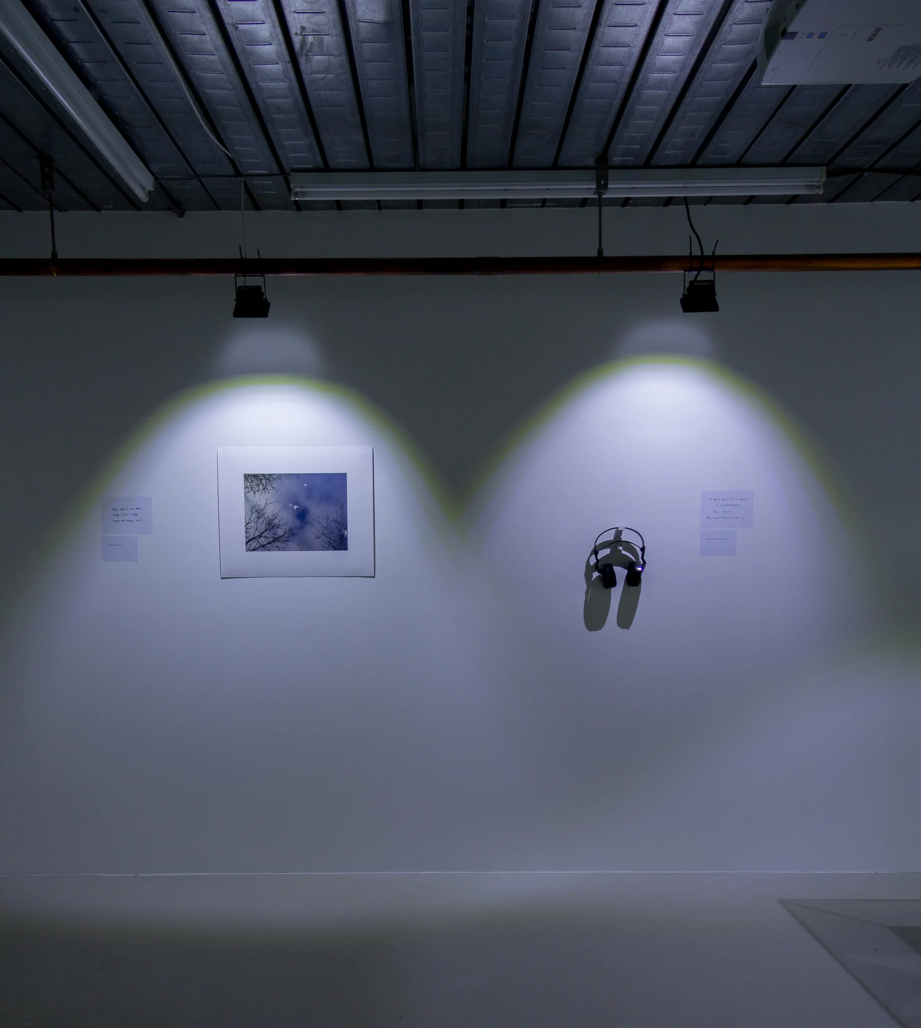 Installation images of Marcus Coates at Workplace | London