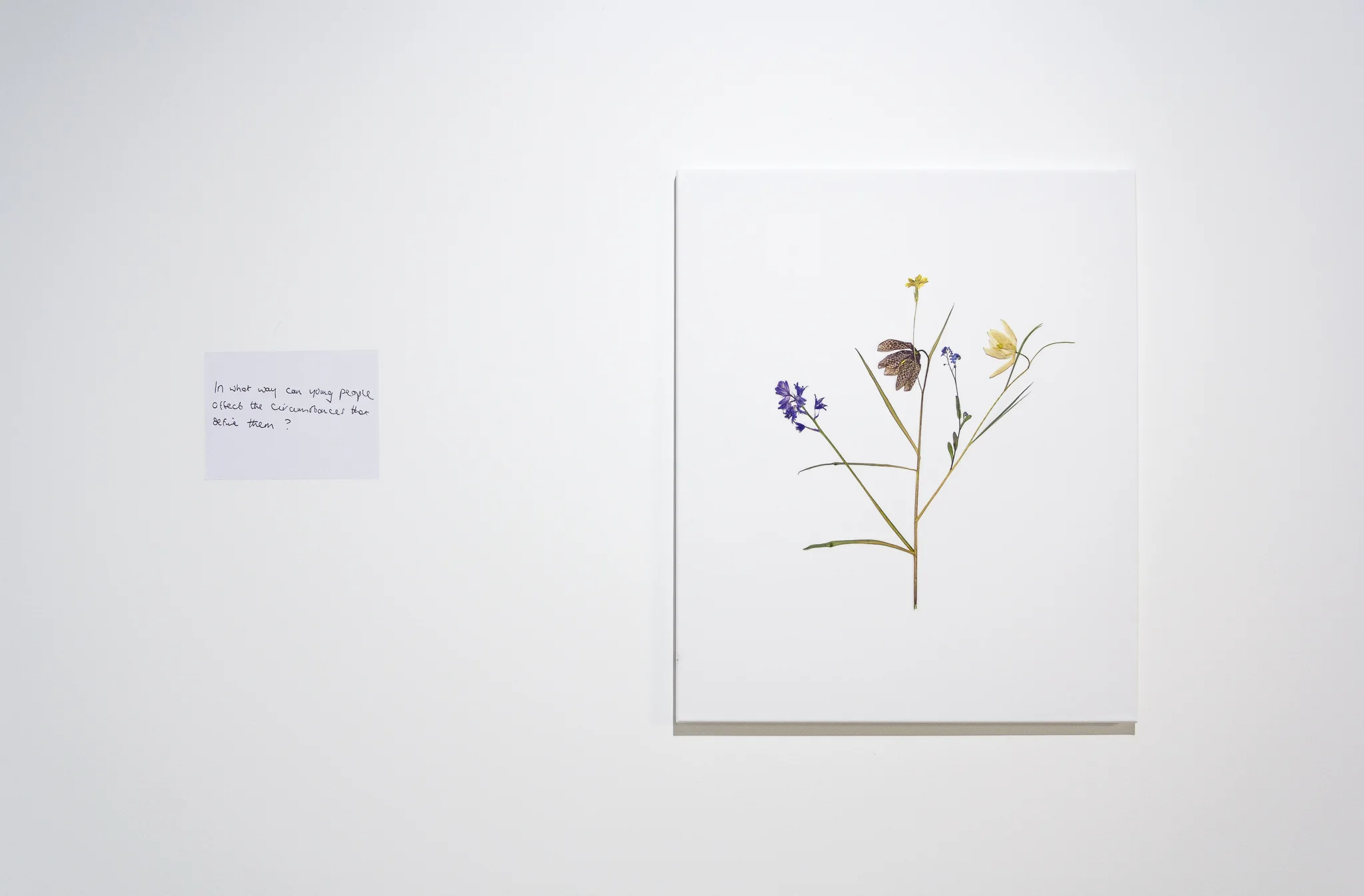 Installation images of Marcus Coates at Workplace | London